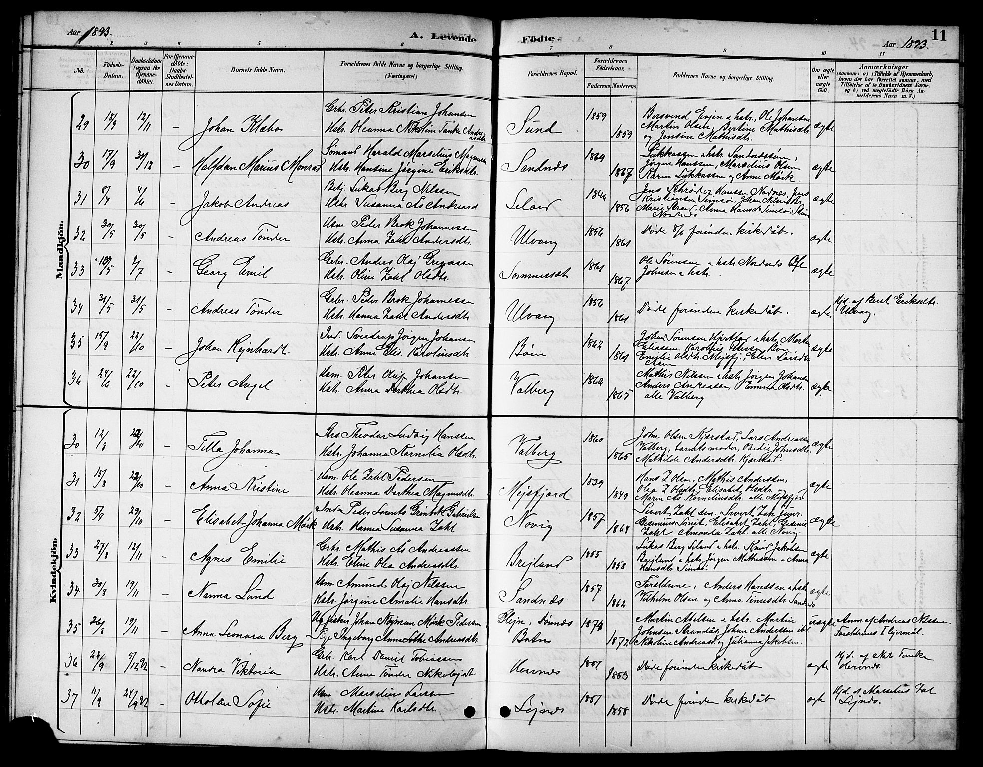 Ministerialprotokoller, klokkerbøker og fødselsregistre - Nordland, SAT/A-1459/831/L0478: Parish register (copy) no. 831C05, 1892-1909, p. 11