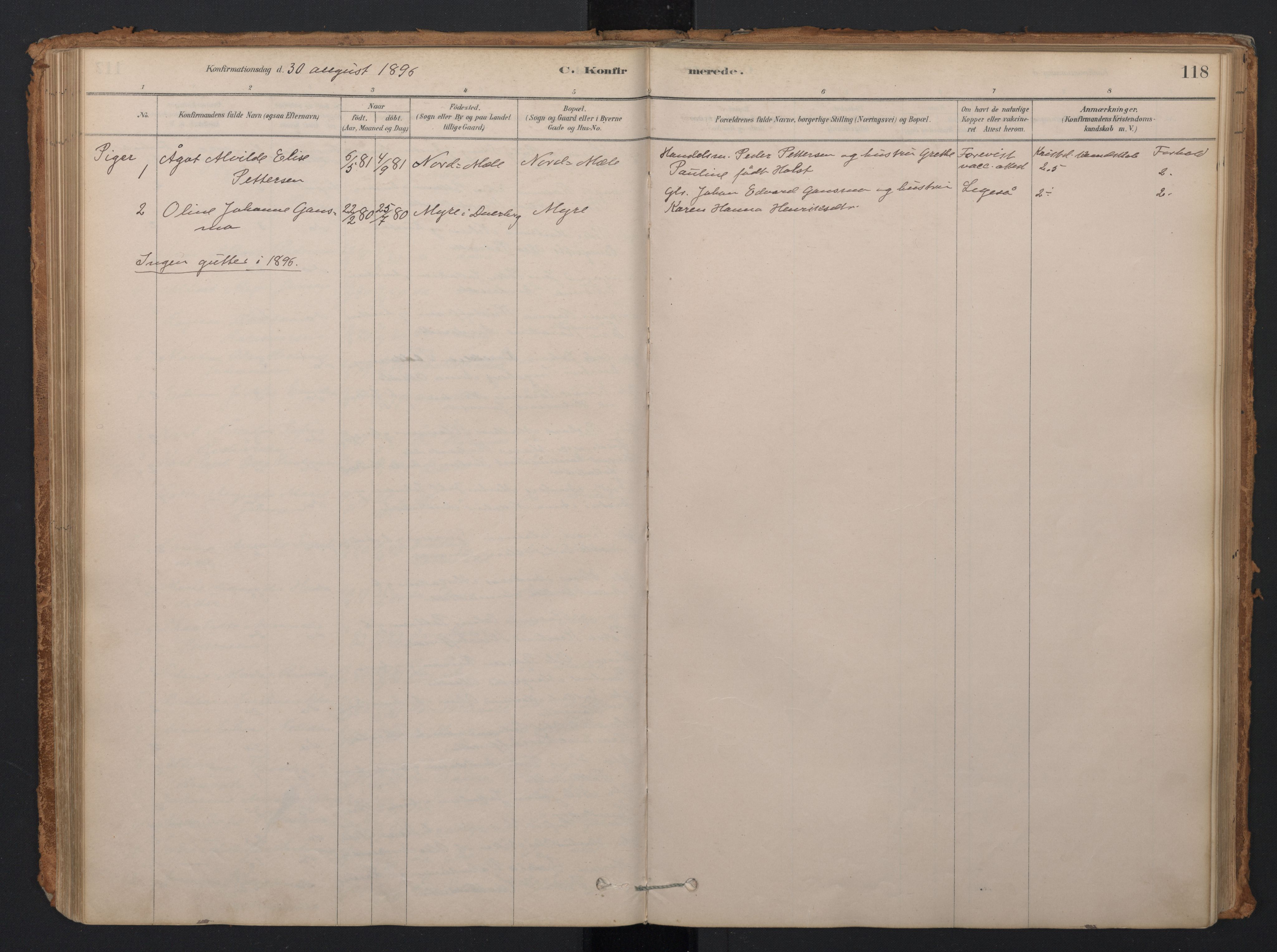 Ministerialprotokoller, klokkerbøker og fødselsregistre - Nordland, AV/SAT-A-1459/897/L1399: Parish register (official) no. 897A06, 1881-1896, p. 118