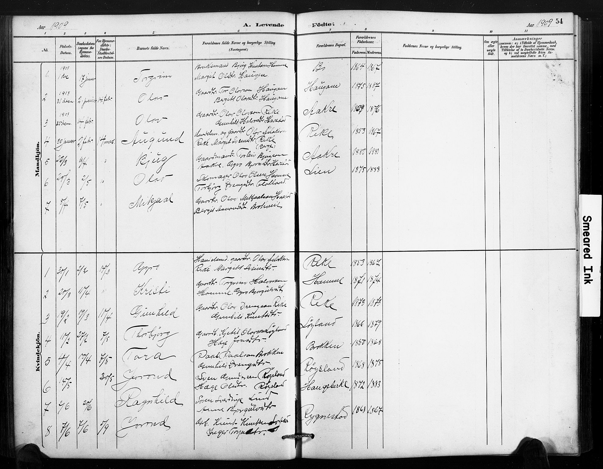 Valle sokneprestkontor, SAK/1111-0044/F/Fb/Fbc/L0004: Parish register (copy) no. B 4, 1890-1928, p. 54
