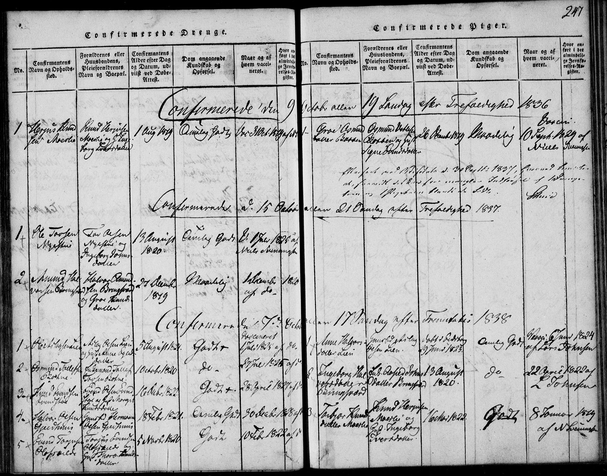 Vinje kirkebøker, SAKO/A-312/F/Fb/L0001: Parish register (official) no. II 1, 1814-1843, p. 247