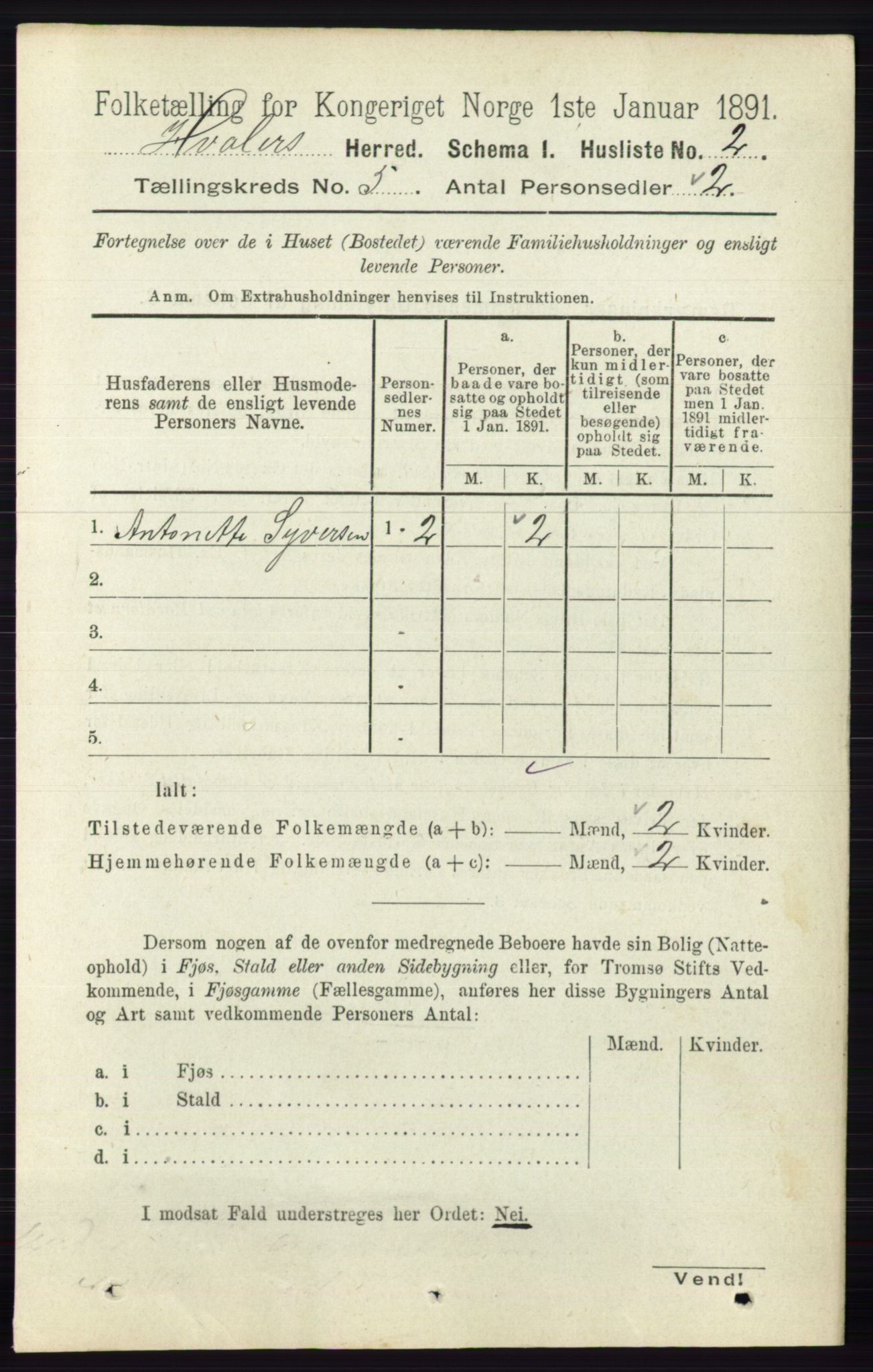 RA, 1891 census for 0111 Hvaler, 1891, p. 3041