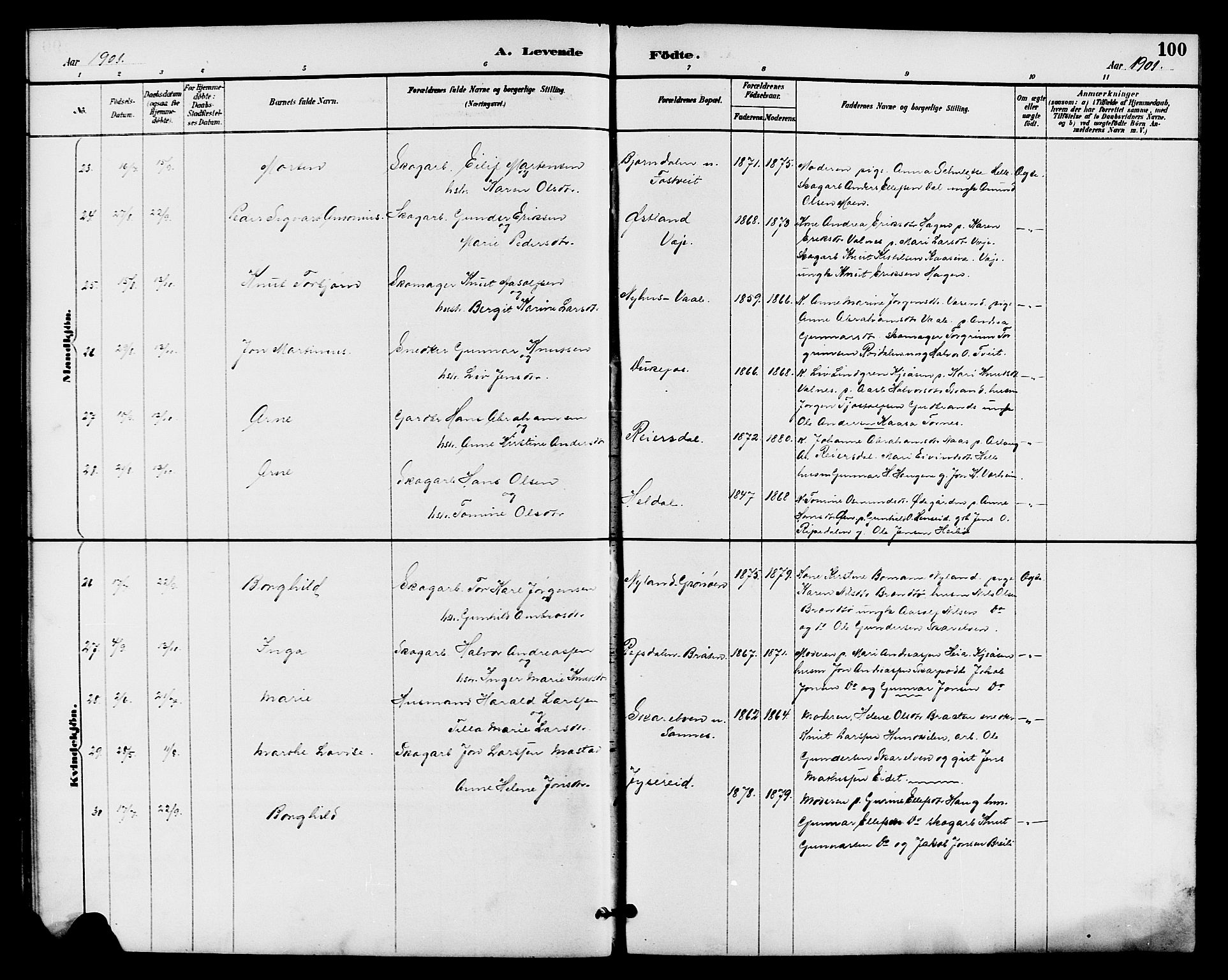 Drangedal kirkebøker, AV/SAKO-A-258/G/Ga/L0003: Parish register (copy) no. I 3, 1887-1906, p. 100