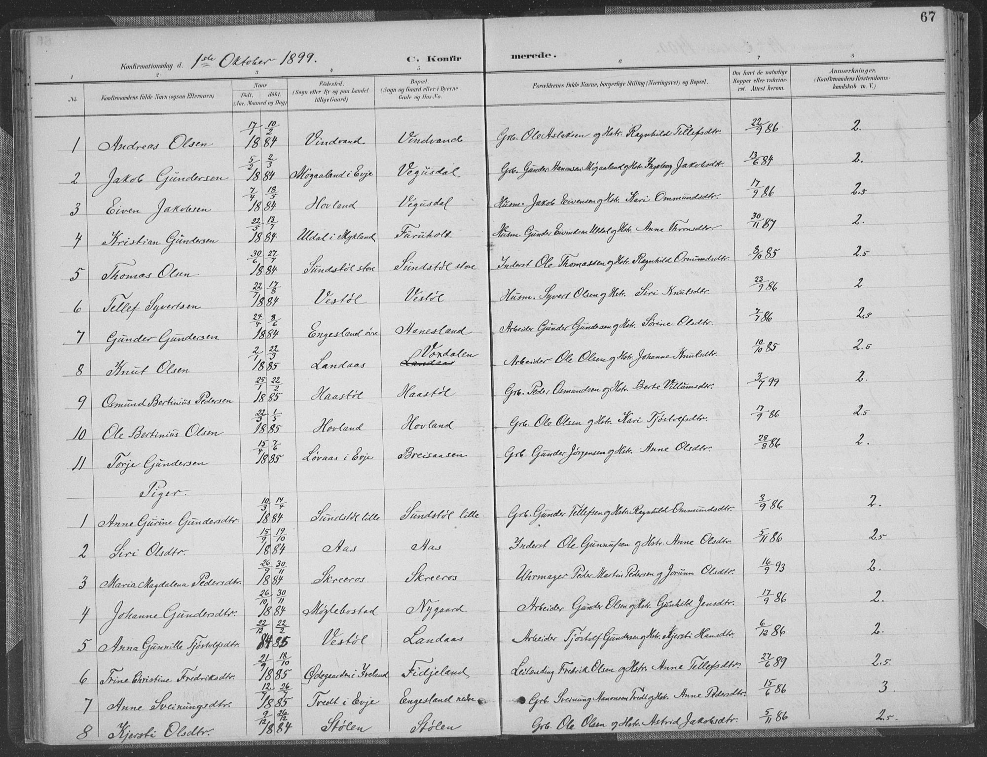 Herefoss sokneprestkontor, AV/SAK-1111-0019/F/Fa/Fab/L0004: Parish register (official) no. A 4, 1887-1909, p. 67