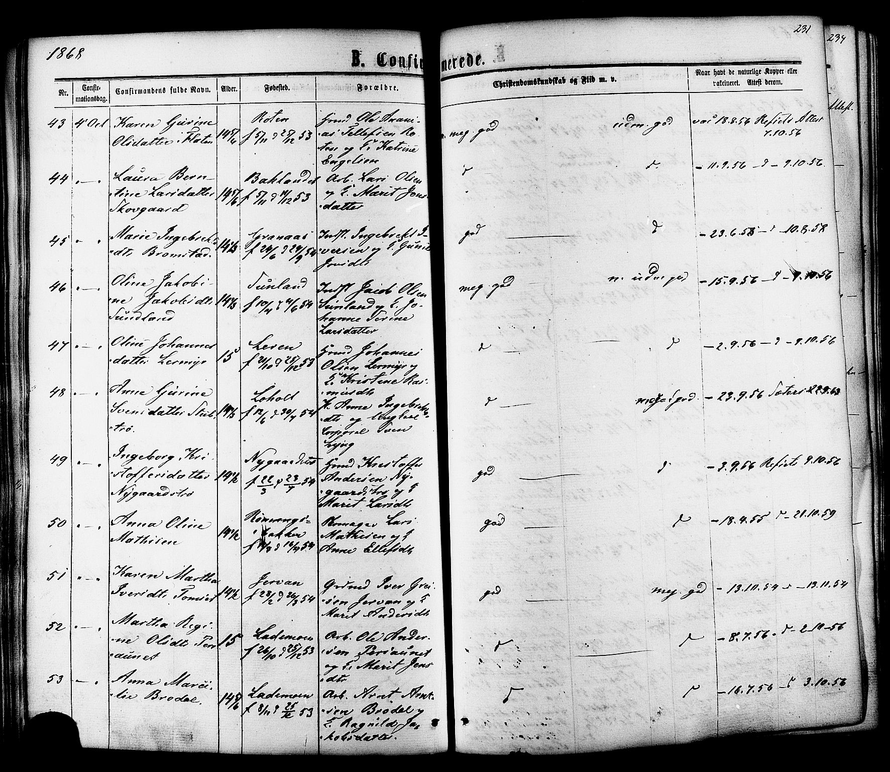 Ministerialprotokoller, klokkerbøker og fødselsregistre - Sør-Trøndelag, AV/SAT-A-1456/606/L0293: Parish register (official) no. 606A08, 1866-1877, p. 231