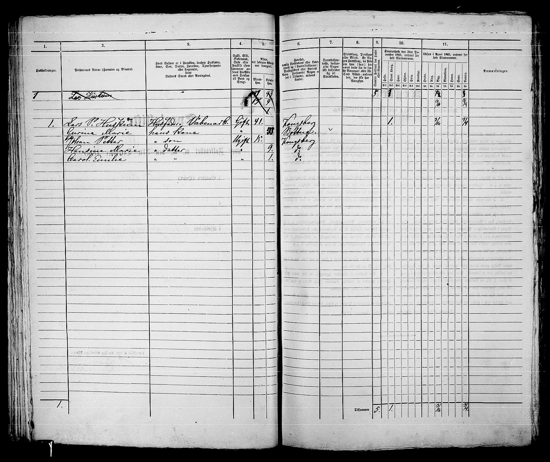 RA, 1865 census for Kongsberg/Kongsberg, 1865, p. 636