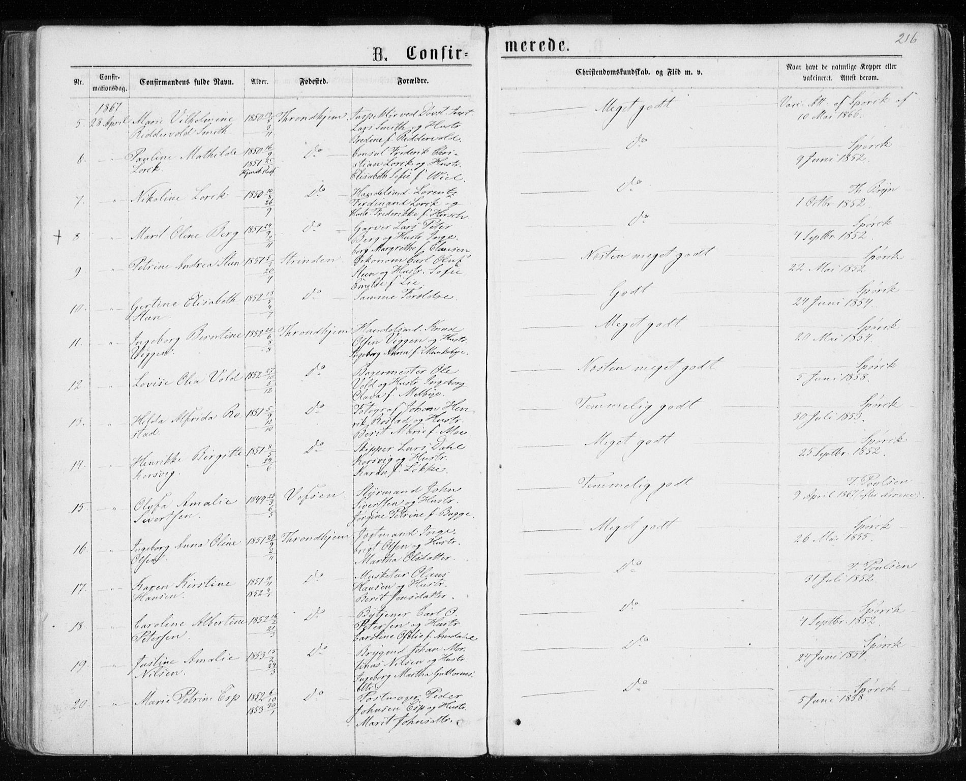 Ministerialprotokoller, klokkerbøker og fødselsregistre - Sør-Trøndelag, AV/SAT-A-1456/601/L0054: Parish register (official) no. 601A22, 1866-1877, p. 216