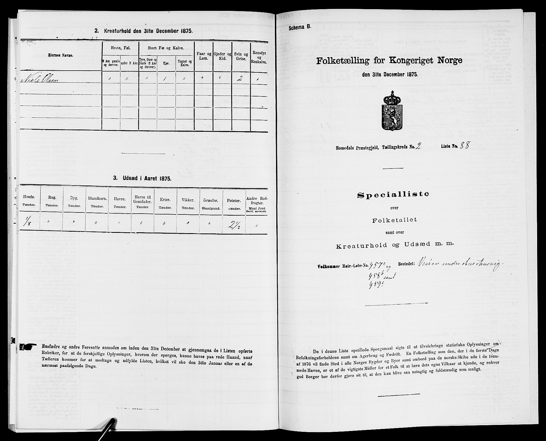 SAK, 1875 census for 0924P Homedal, 1875, p. 306