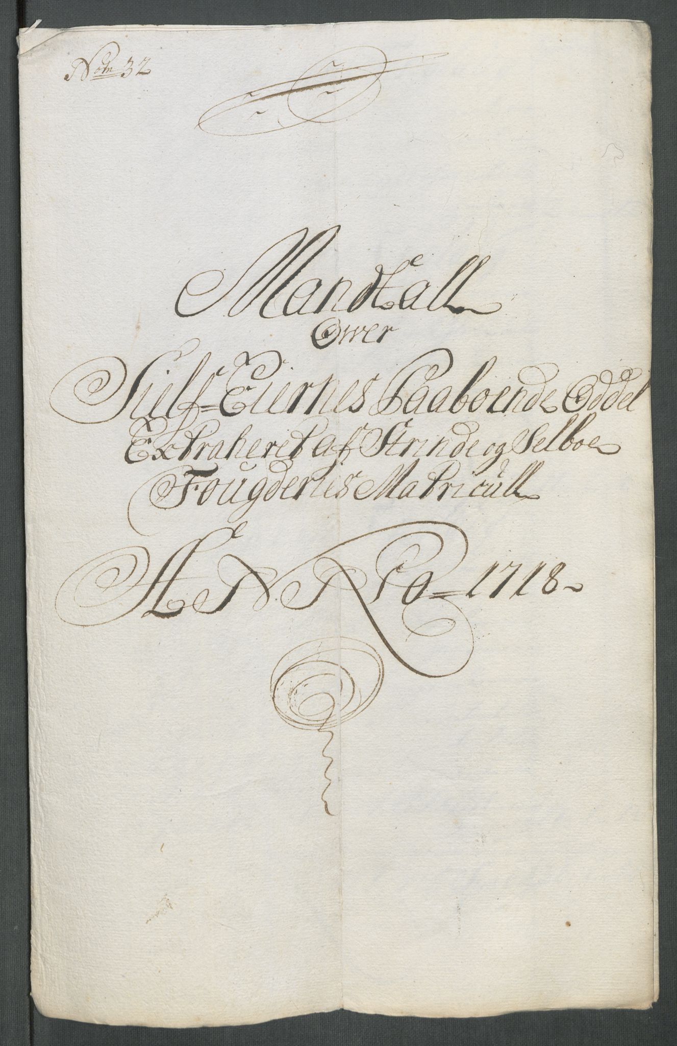 Rentekammeret inntil 1814, Reviderte regnskaper, Fogderegnskap, RA/EA-4092/R61/L4116: Fogderegnskap Strinda og Selbu, 1717-1718, p. 496