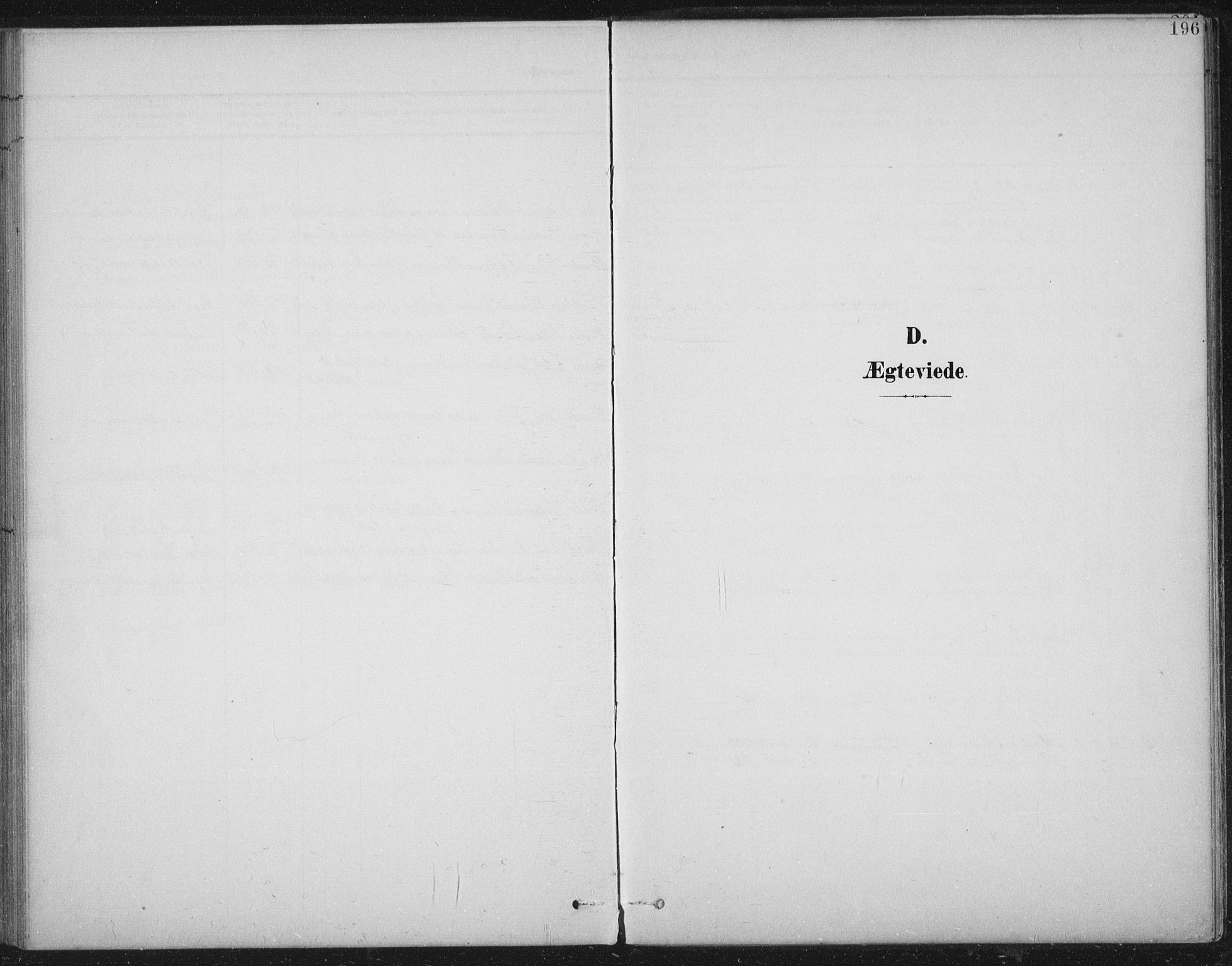 Ministerialprotokoller, klokkerbøker og fødselsregistre - Nord-Trøndelag, SAT/A-1458/724/L0269: Parish register (copy) no. 724C05, 1899-1920, p. 196