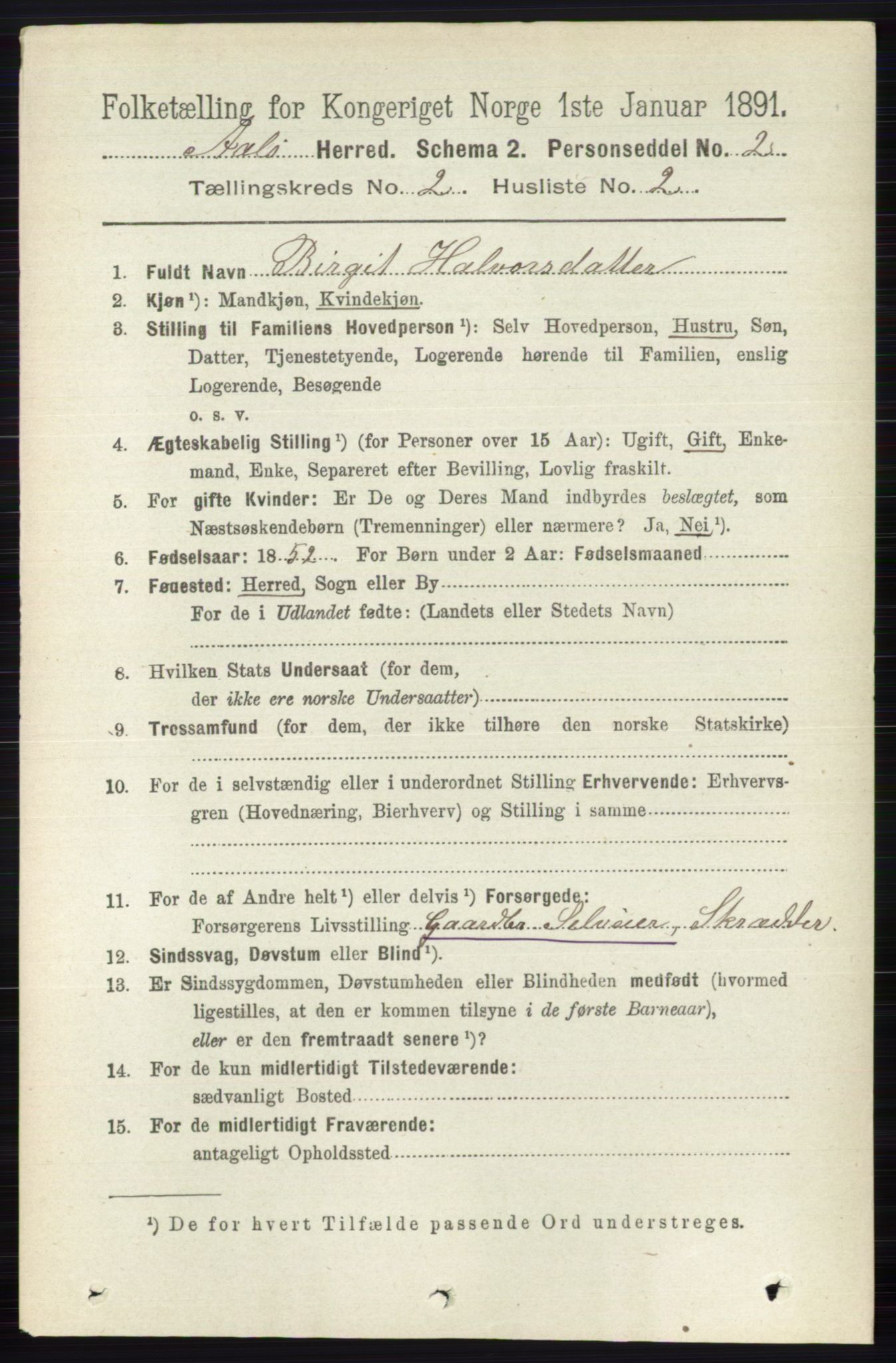 RA, 1891 census for 0619 Ål, 1891, p. 377