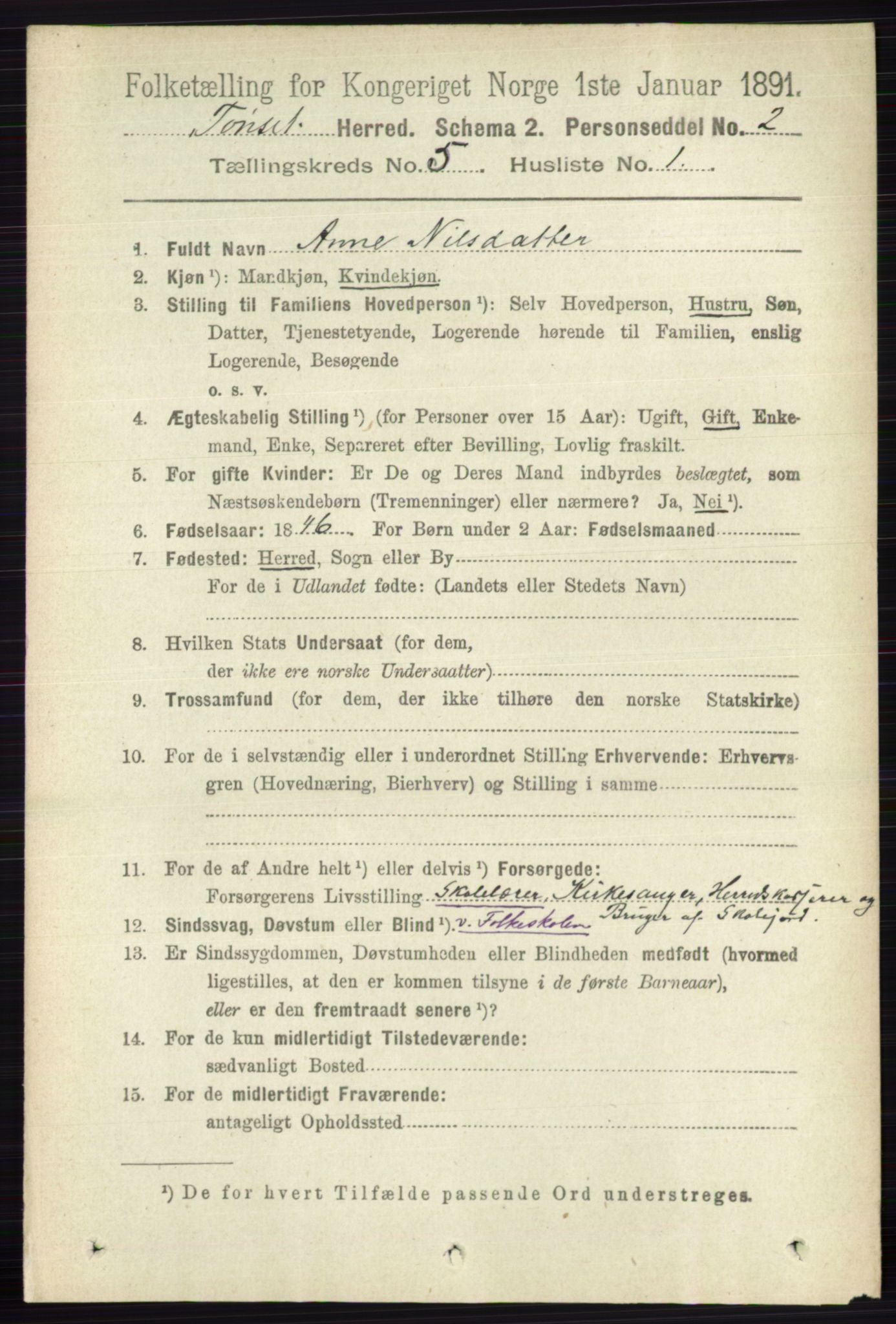 RA, 1891 census for 0437 Tynset, 1891, p. 1079