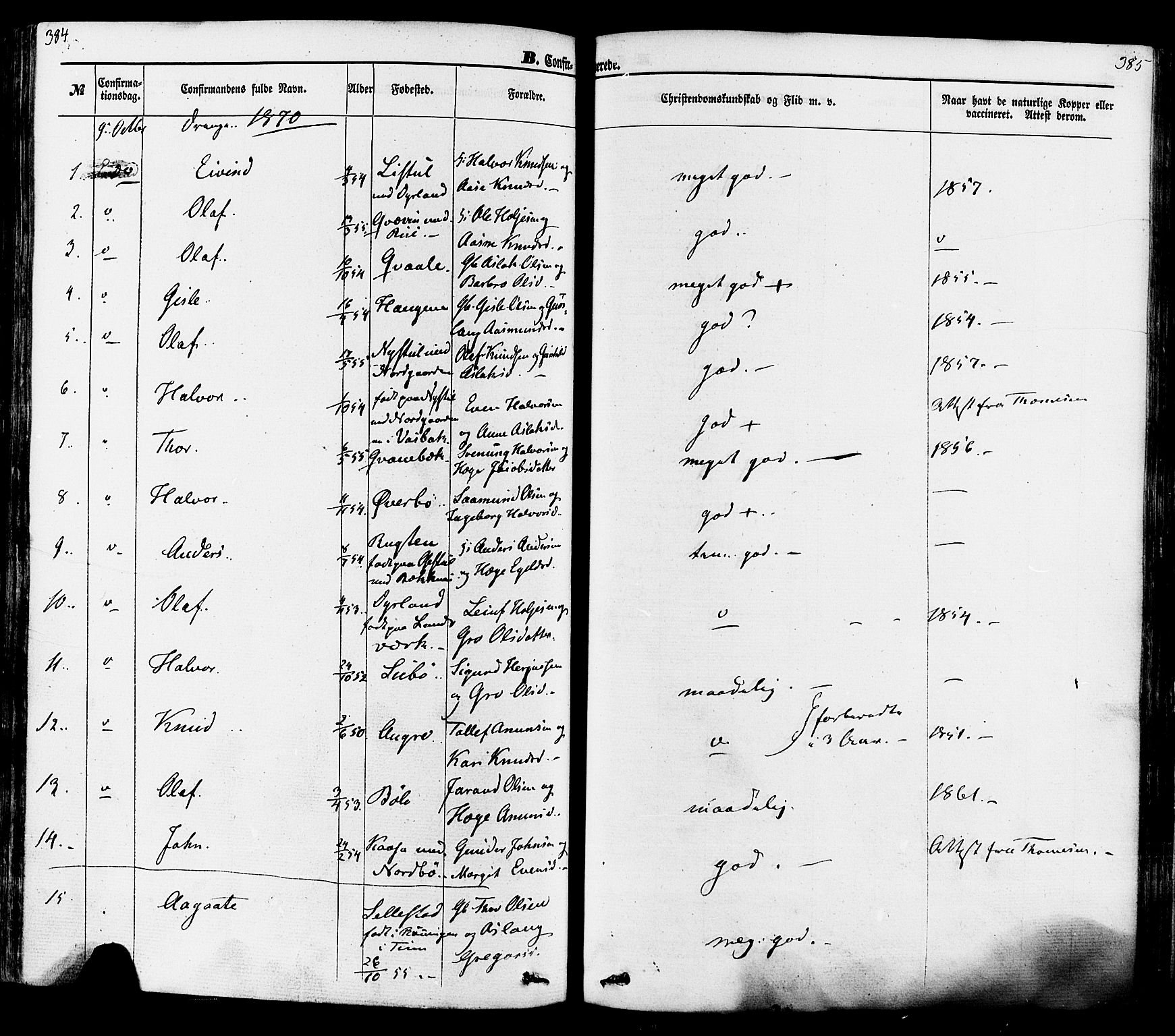 Seljord kirkebøker, SAKO/A-20/F/Fa/L0013: Parish register (official) no. I 13, 1866-1876, p. 384-385