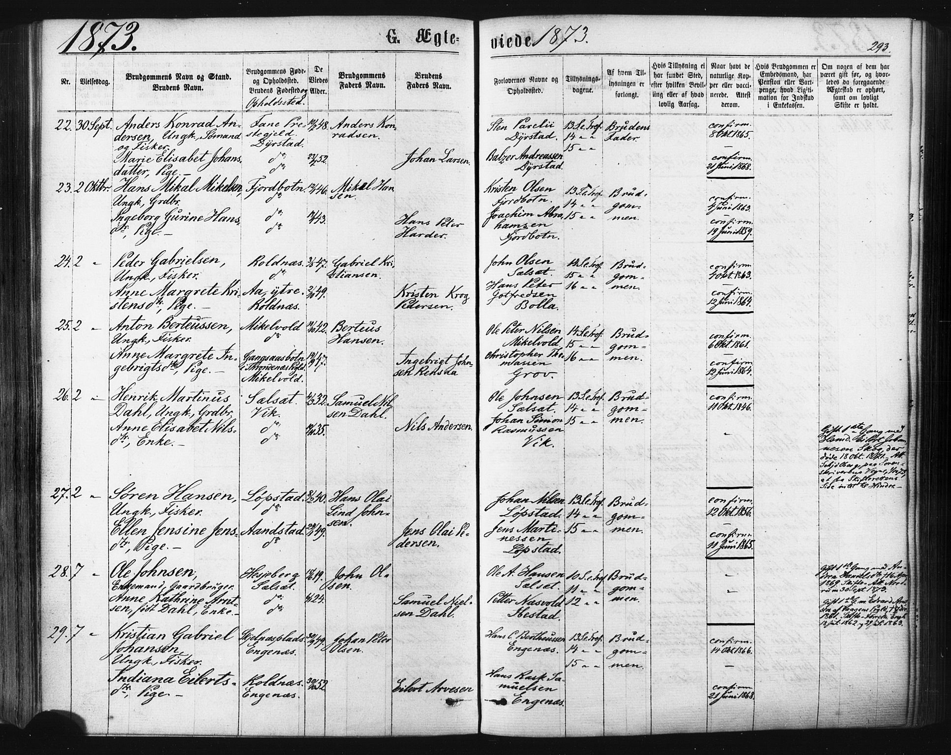 Ibestad sokneprestembete, SATØ/S-0077/H/Ha/Haa/L0010kirke: Parish register (official) no. 10, 1869-1879, p. 293