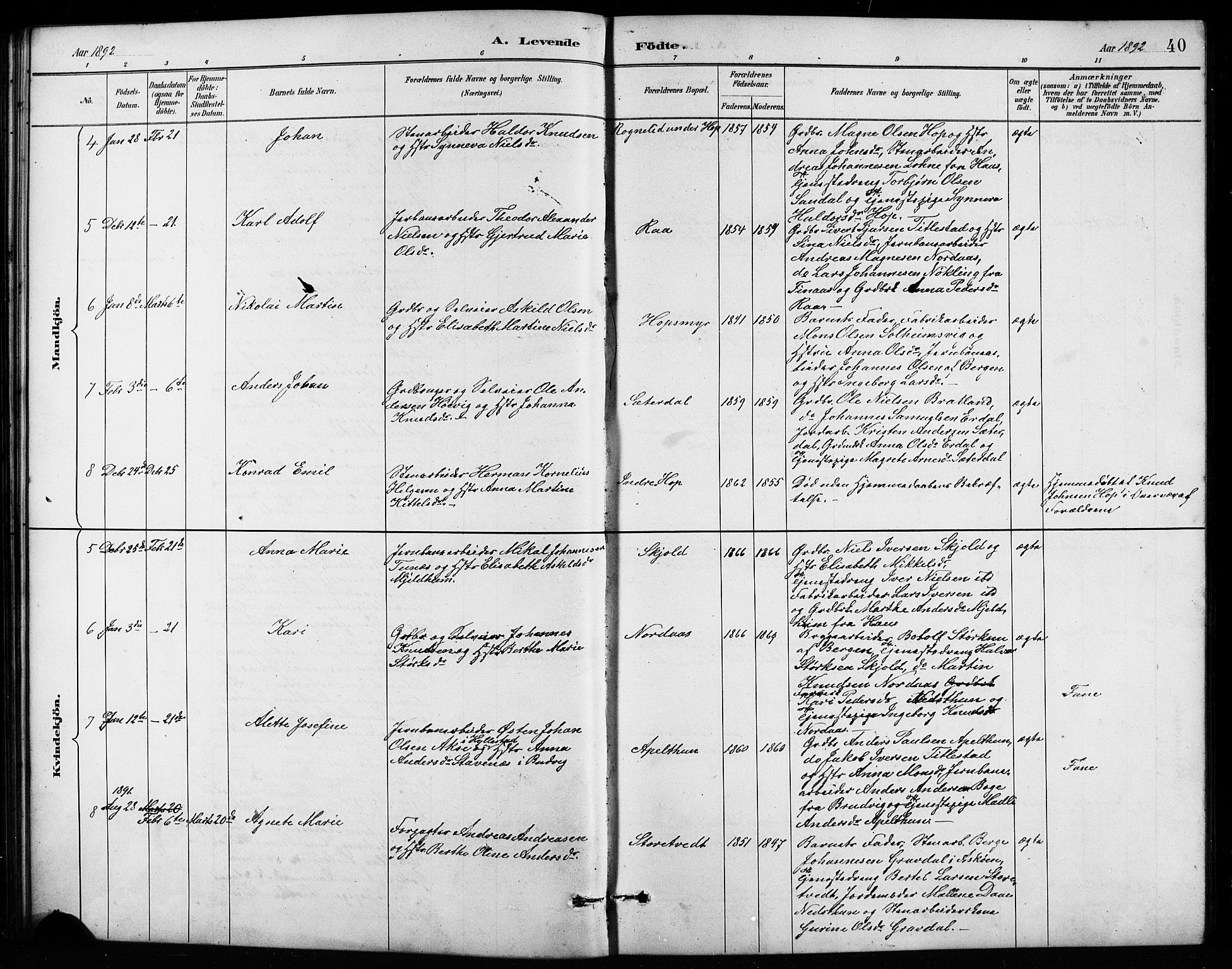 Birkeland Sokneprestembete, SAB/A-74601/H/Hab: Parish register (copy) no. A 4, 1888-1897, p. 40