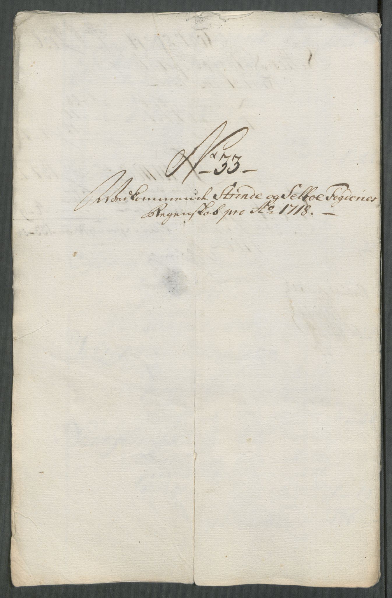 Rentekammeret inntil 1814, Reviderte regnskaper, Fogderegnskap, RA/EA-4092/R61/L4116: Fogderegnskap Strinda og Selbu, 1717-1718, p. 505