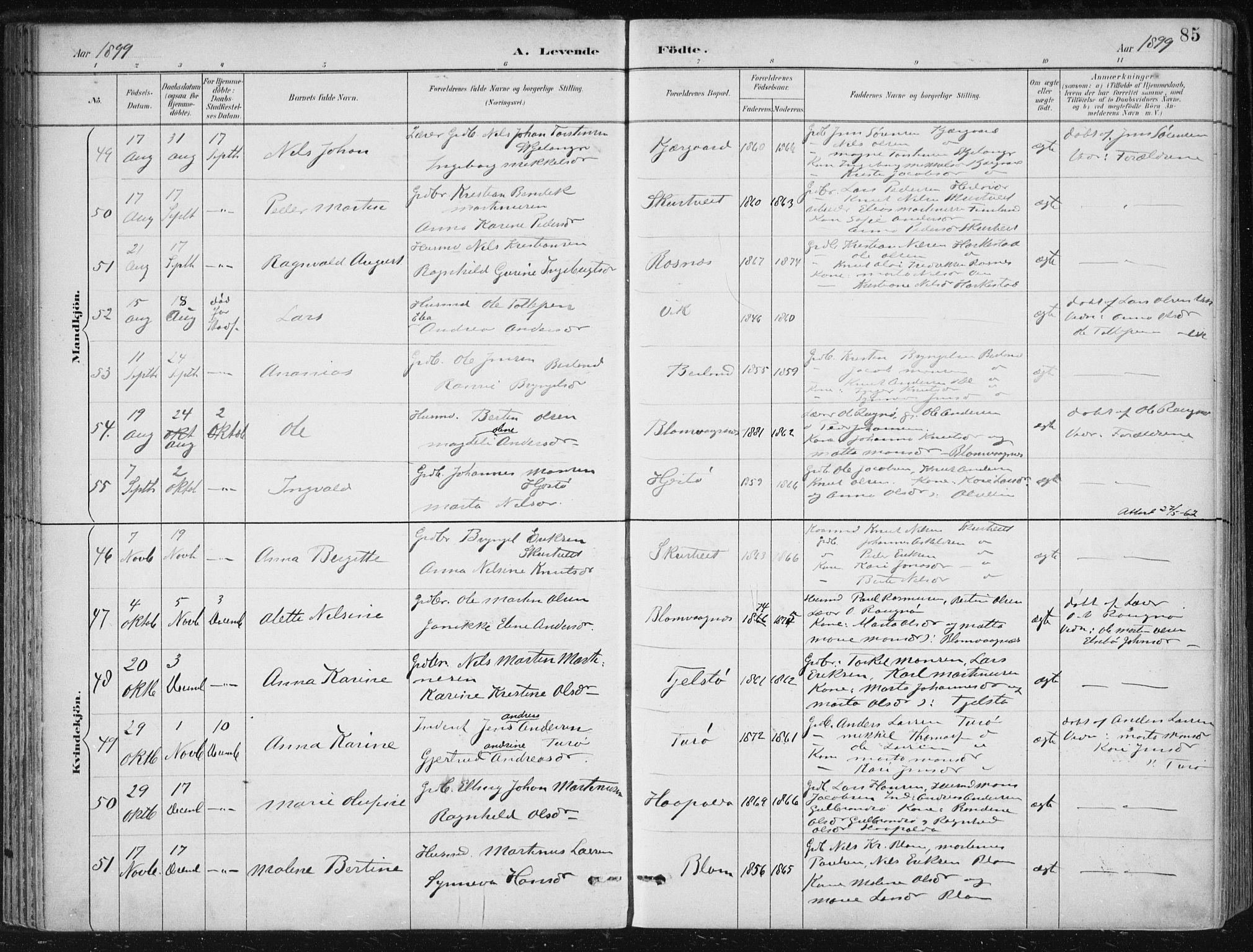 Herdla Sokneprestembete, AV/SAB-A-75701/H/Haa: Parish register (official) no. A 4, 1891-1905, p. 85