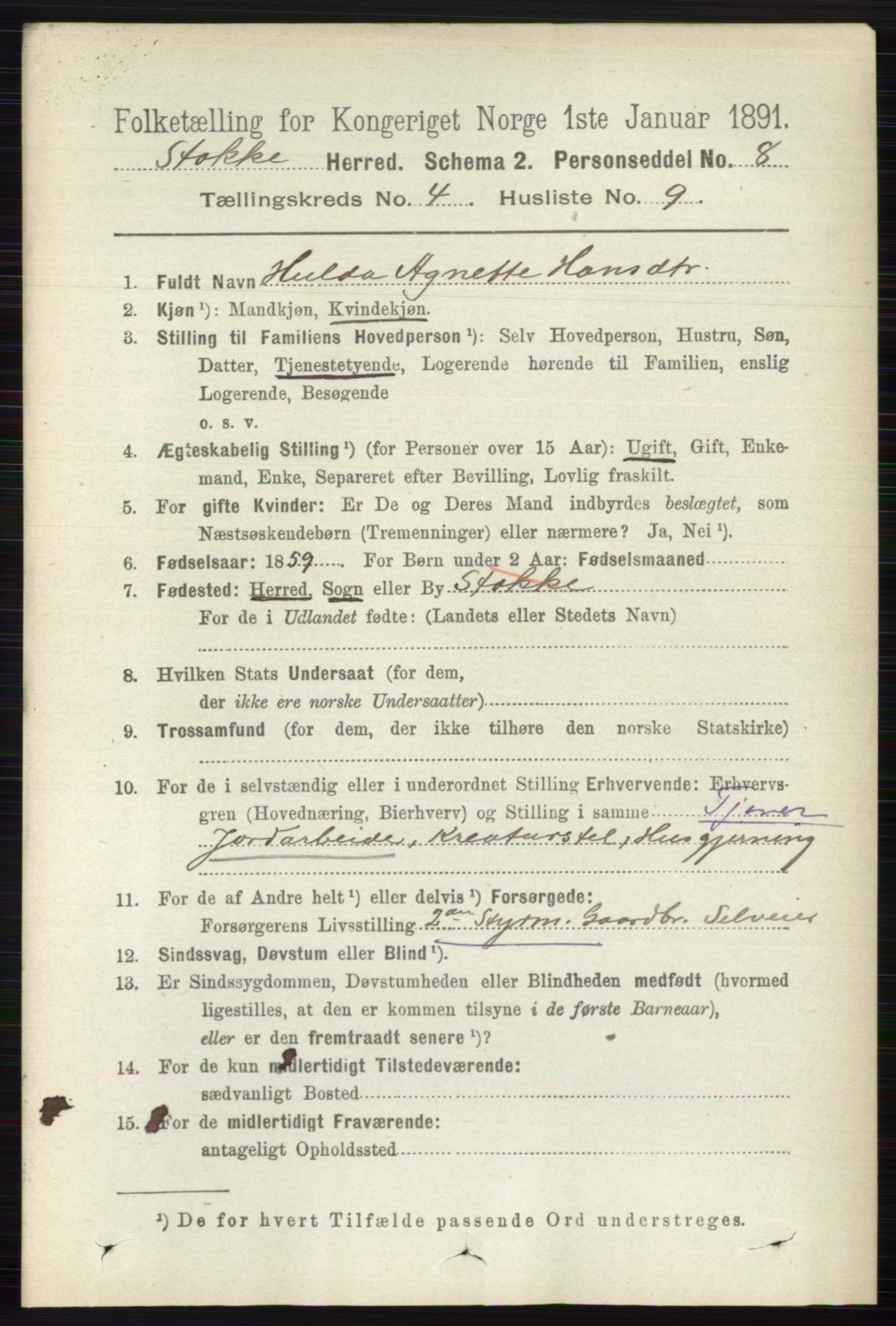 RA, 1891 census for 0720 Stokke, 1891, p. 2491