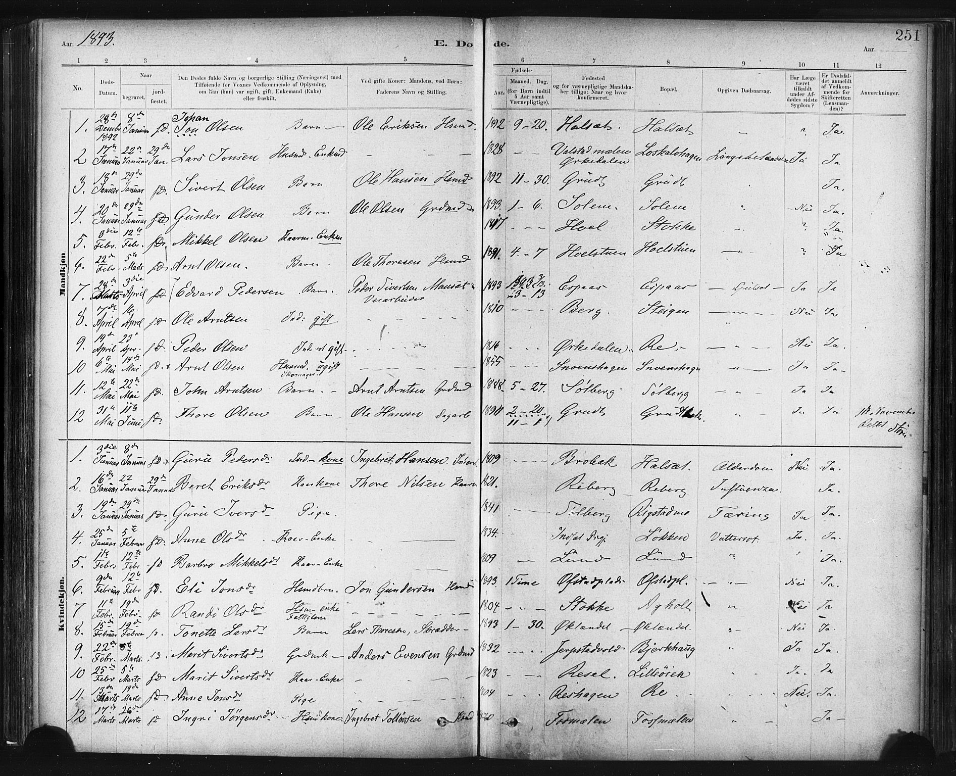 Ministerialprotokoller, klokkerbøker og fødselsregistre - Sør-Trøndelag, SAT/A-1456/672/L0857: Parish register (official) no. 672A09, 1882-1893, p. 251