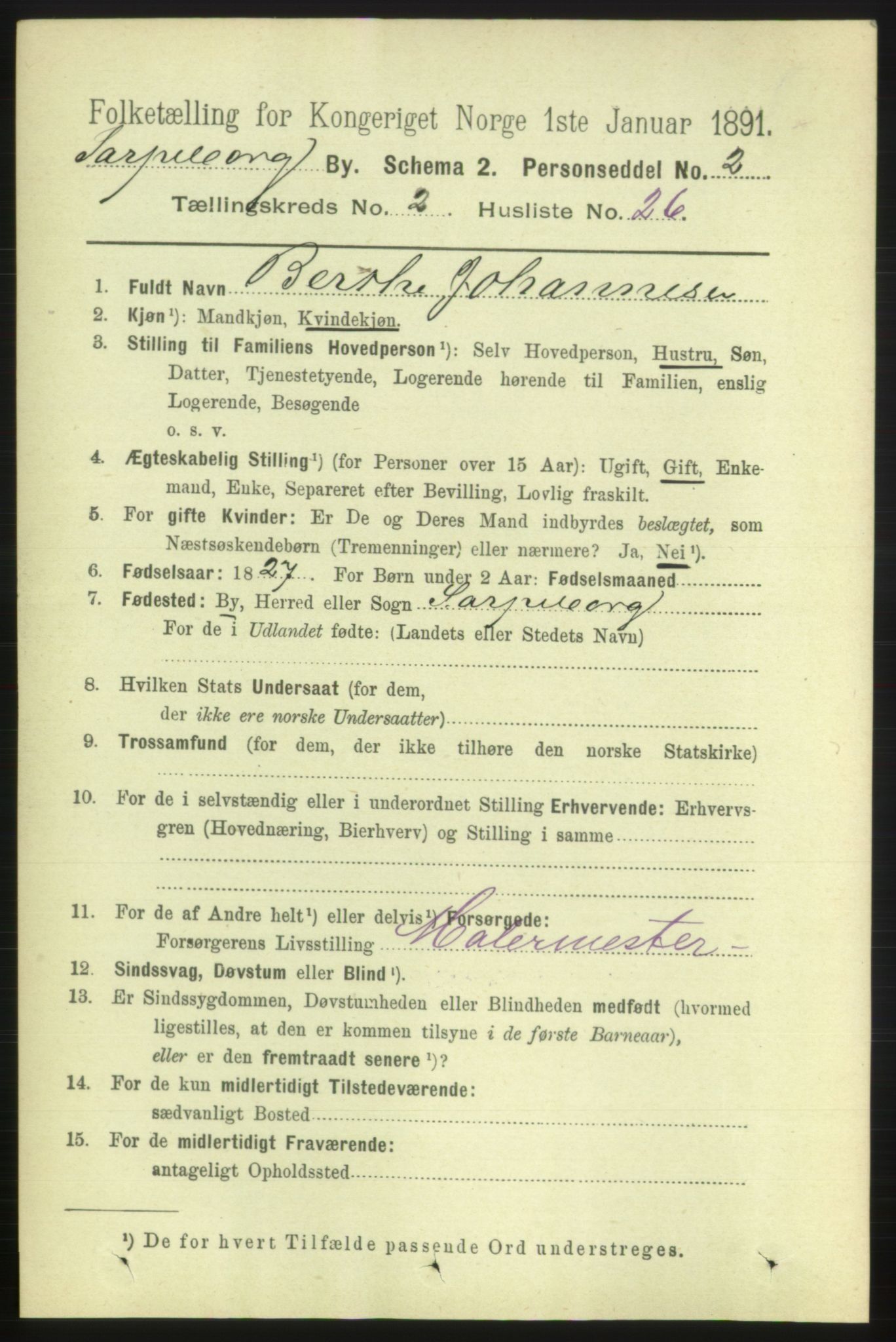 RA, 1891 census for 0102 Sarpsborg, 1891, p. 1519
