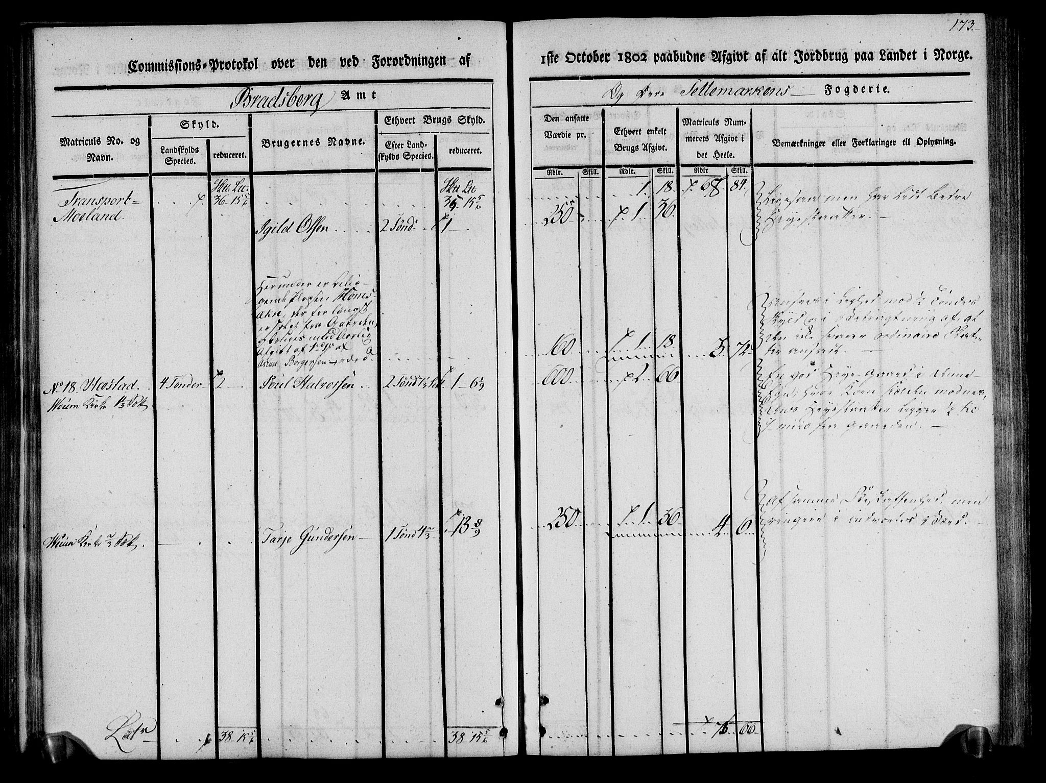 Rentekammeret inntil 1814, Realistisk ordnet avdeling, AV/RA-EA-4070/N/Ne/Nea/L0075: Øvre Telemarken fogderi. Kommisjonsprotokoll for fogderiets vestre del - Kviteseid, Vinje, Moland [):Fyresdal] og Lårdal prestegjeld., 1803, p. 175