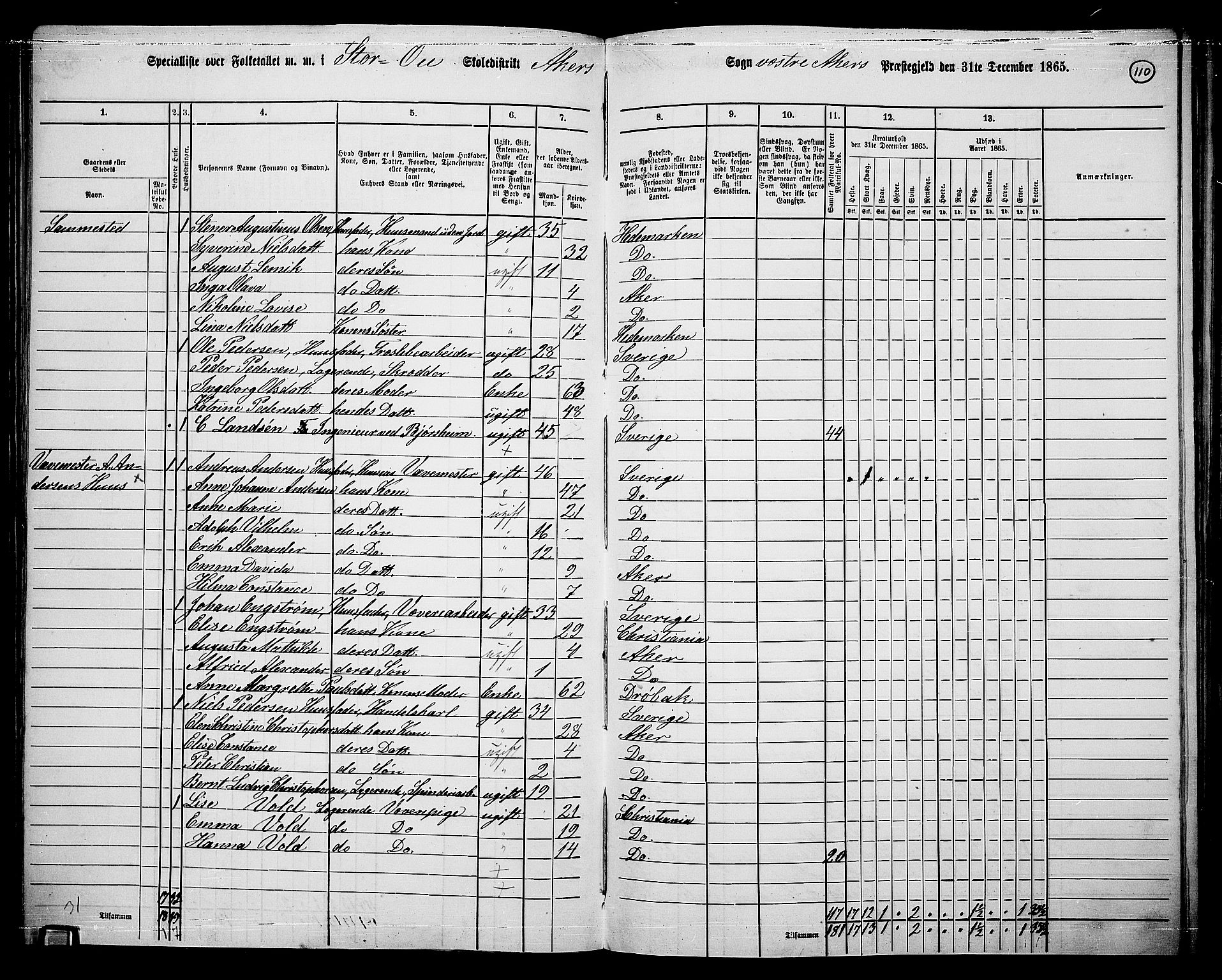 RA, 1865 census for Vestre Aker, 1865, p. 278