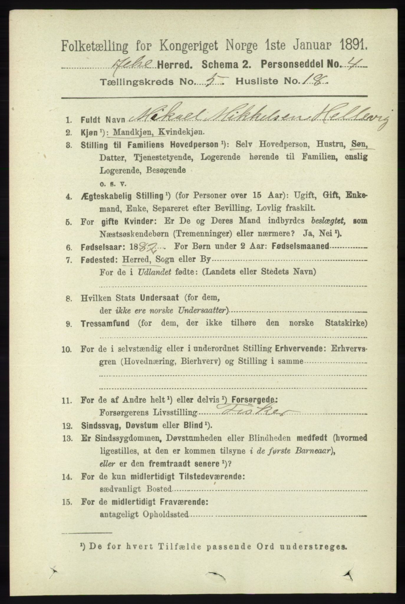 RA, 1891 census for 1138 Jelsa, 1891, p. 1147