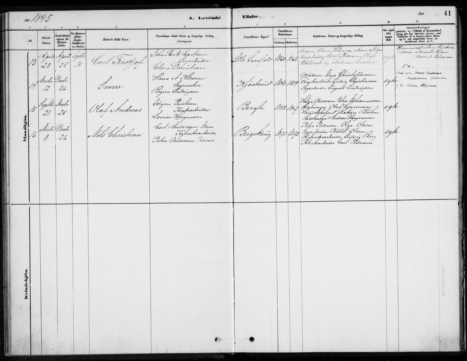 Åssiden kirkebøker, AV/SAKO-A-251/F/Fa/L0001: Parish register (official) no. 1, 1878-1904, p. 41