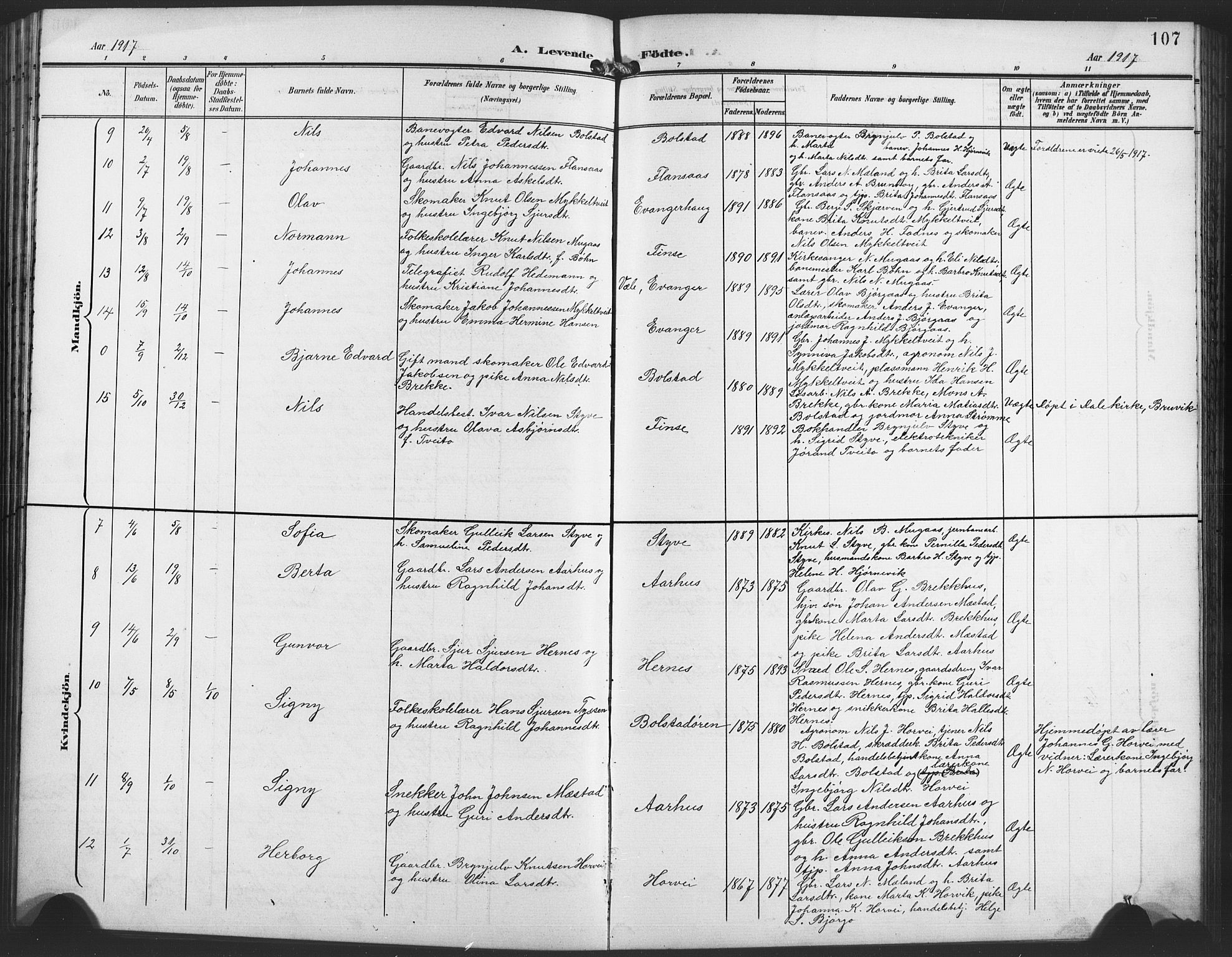 Evanger sokneprestembete, SAB/A-99924: Parish register (copy) no. A 5, 1897-1917, p. 107