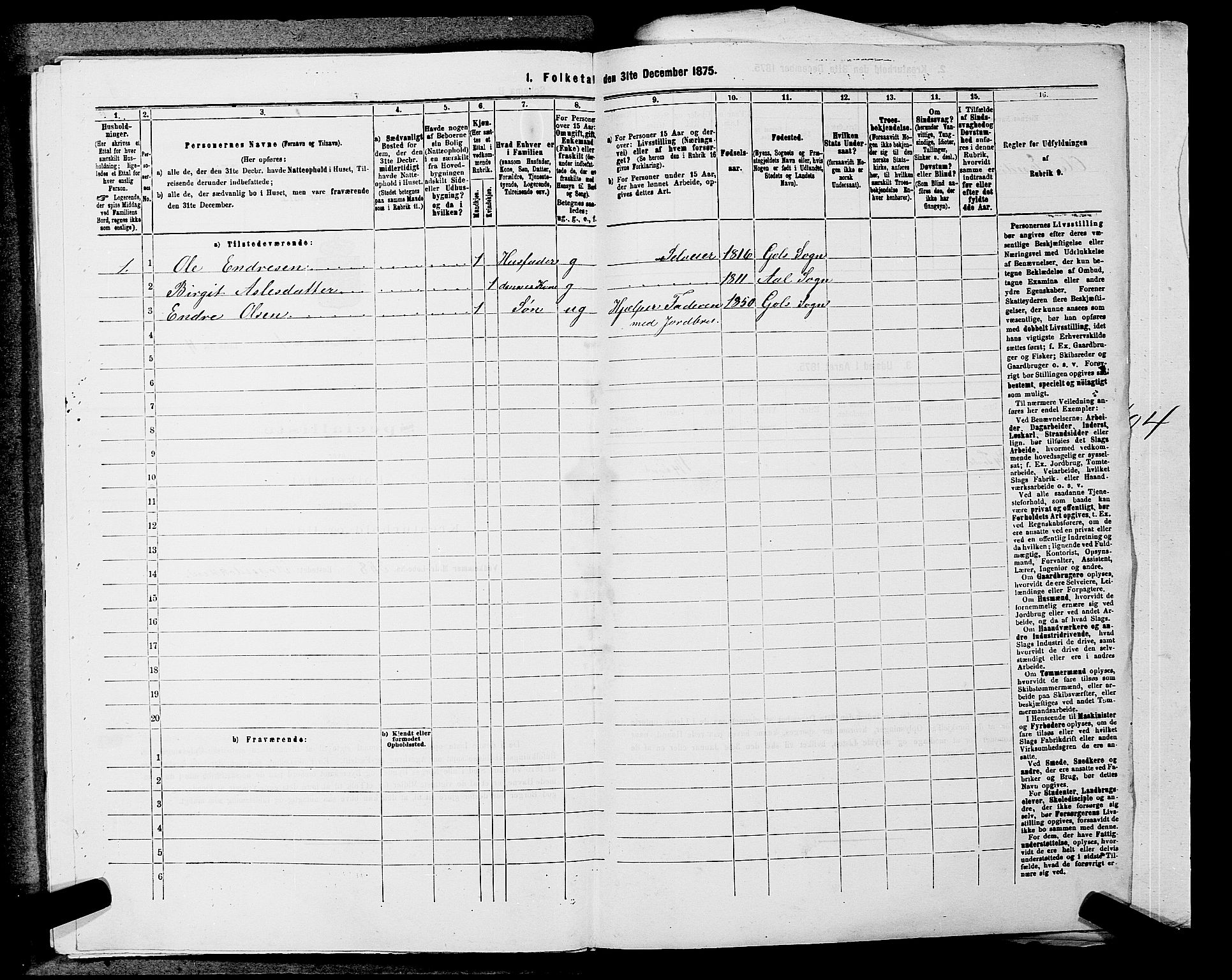 SAKO, 1875 census for 0617P Gol, 1875, p. 207