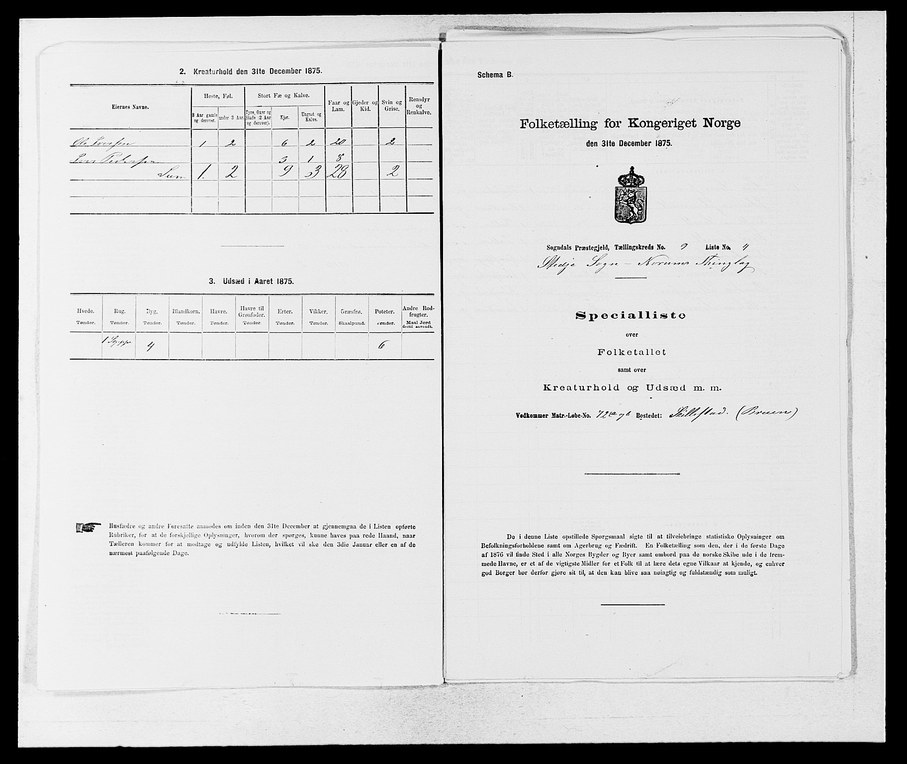 SAB, 1875 census for 1420P Sogndal, 1875, p. 816