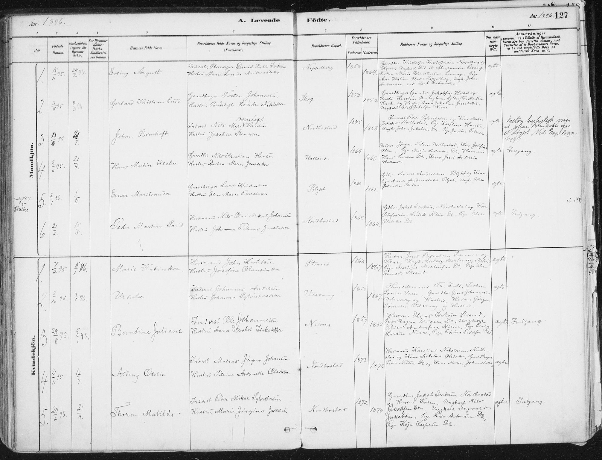 Ministerialprotokoller, klokkerbøker og fødselsregistre - Nordland, AV/SAT-A-1459/838/L0552: Parish register (official) no. 838A10, 1880-1910, p. 127