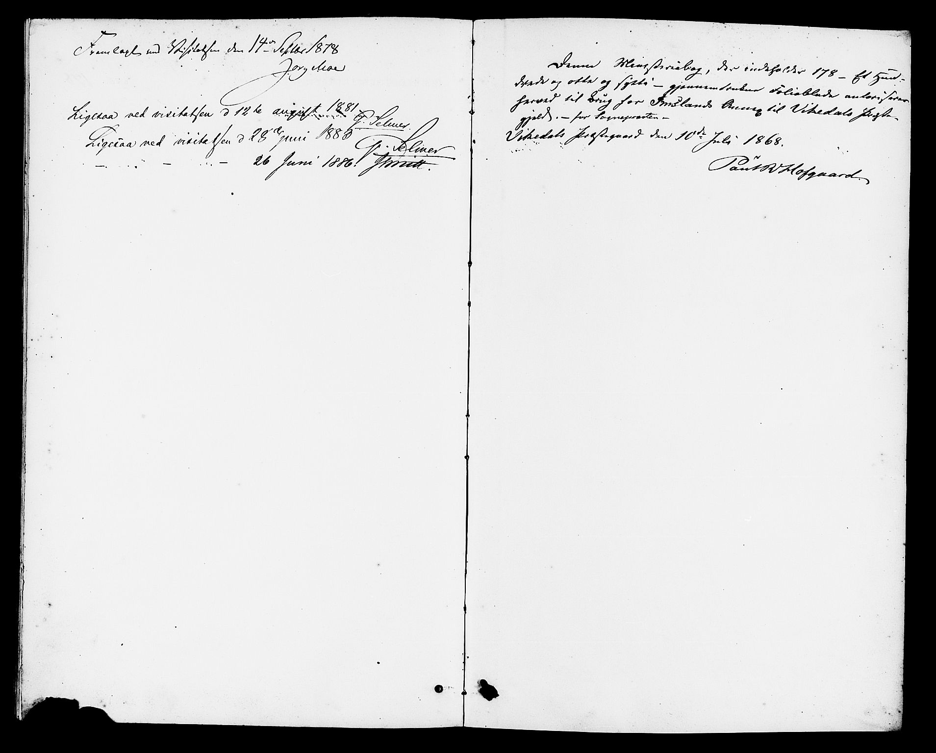 Vikedal sokneprestkontor, SAST/A-101840/01/IV: Parish register (official) no. A 9, 1868-1885