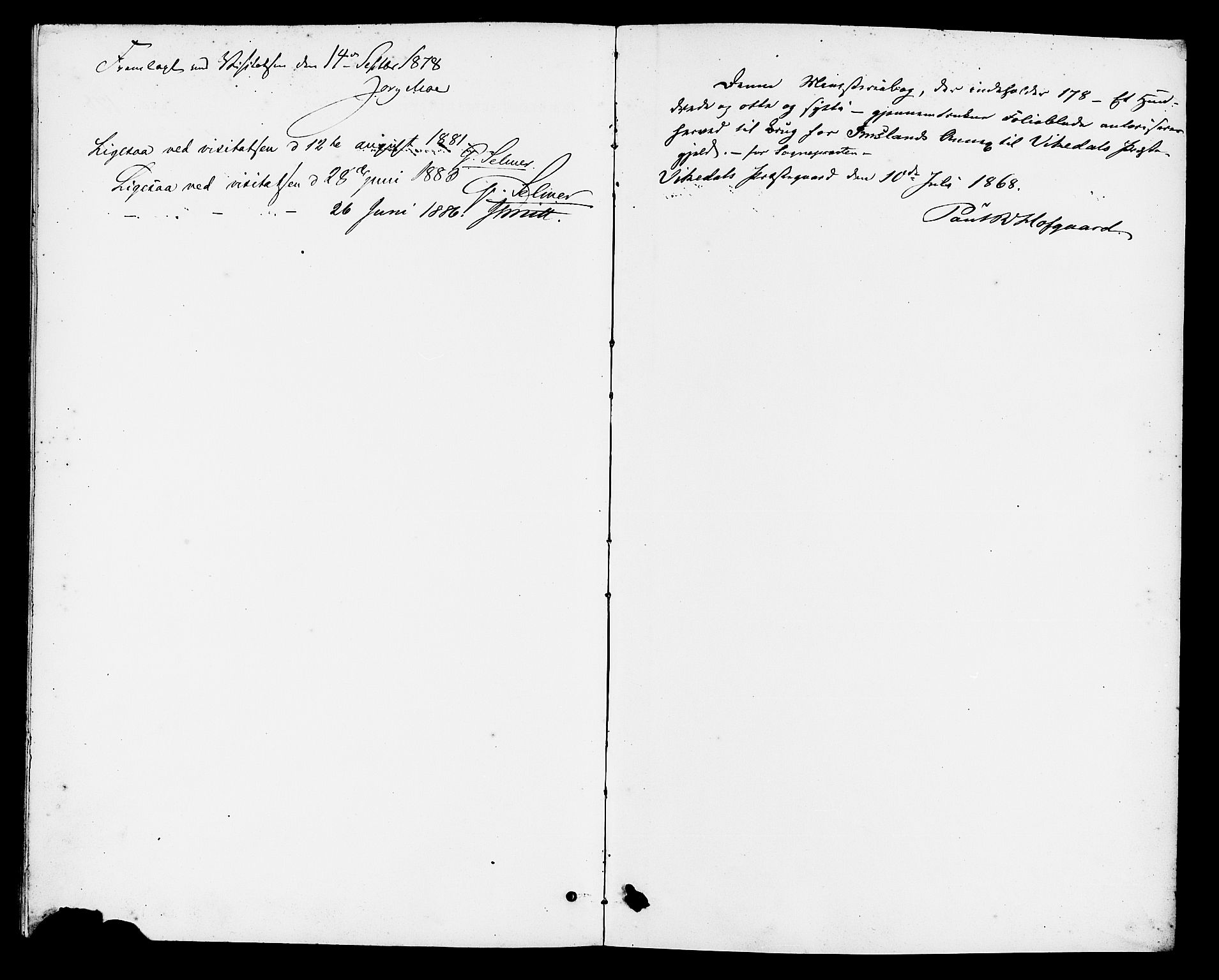 Vikedal sokneprestkontor, AV/SAST-A-101840/01/IV: Parish register (official) no. A 9, 1868-1885