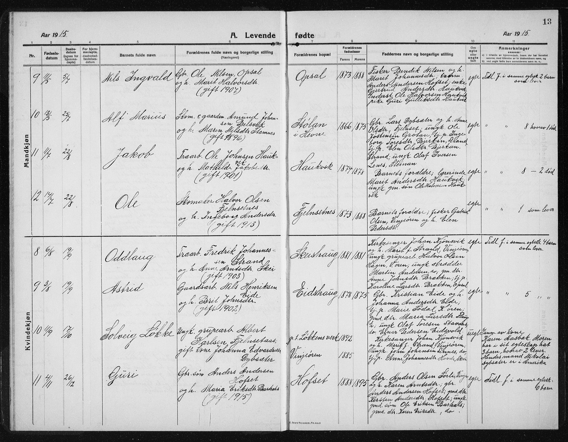 Ministerialprotokoller, klokkerbøker og fødselsregistre - Sør-Trøndelag, AV/SAT-A-1456/631/L0515: Parish register (copy) no. 631C03, 1913-1939, p. 13