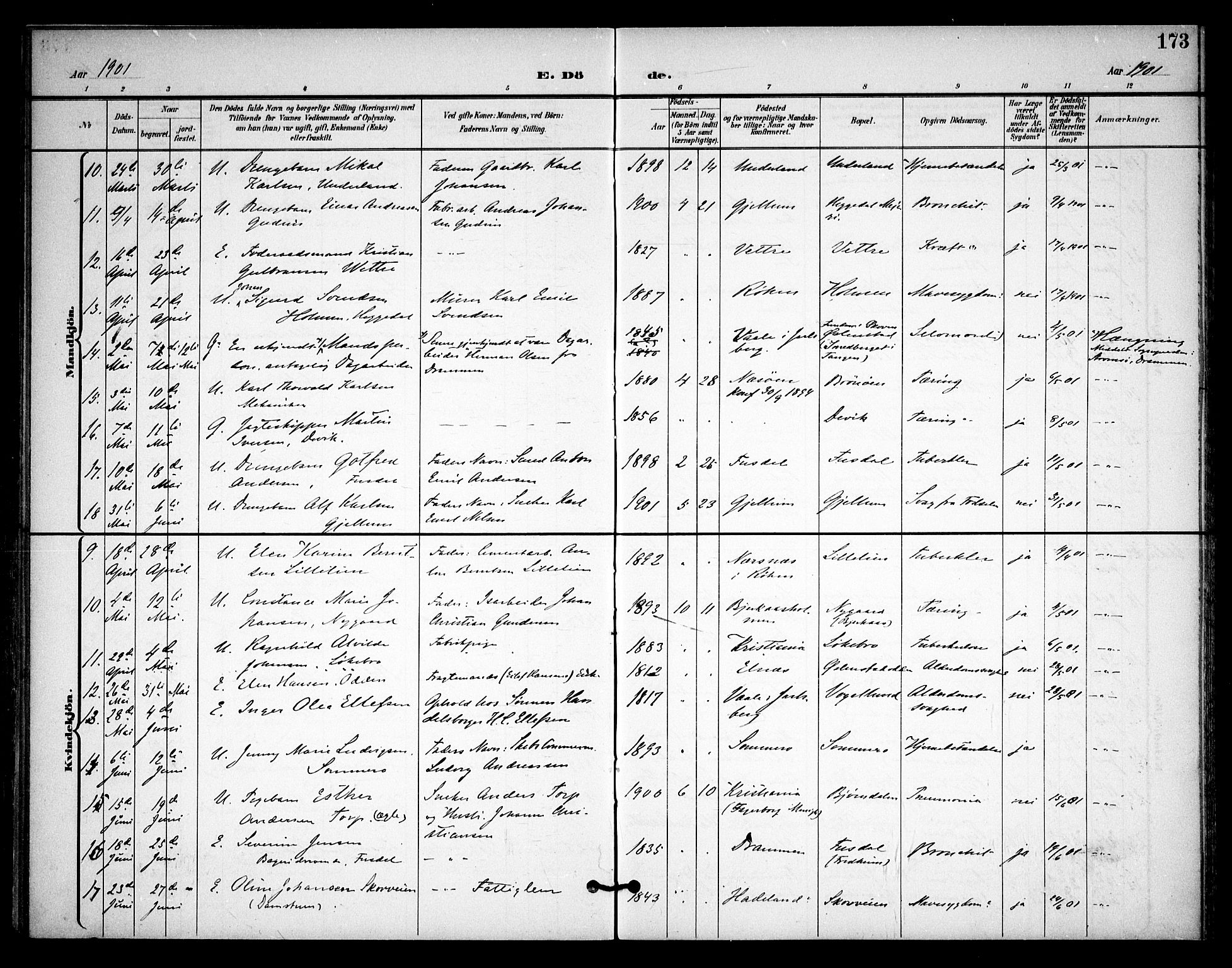 Asker prestekontor Kirkebøker, AV/SAO-A-10256a/F/Fa/L0015: Parish register (official) no. I 15, 1896-1915, p. 173