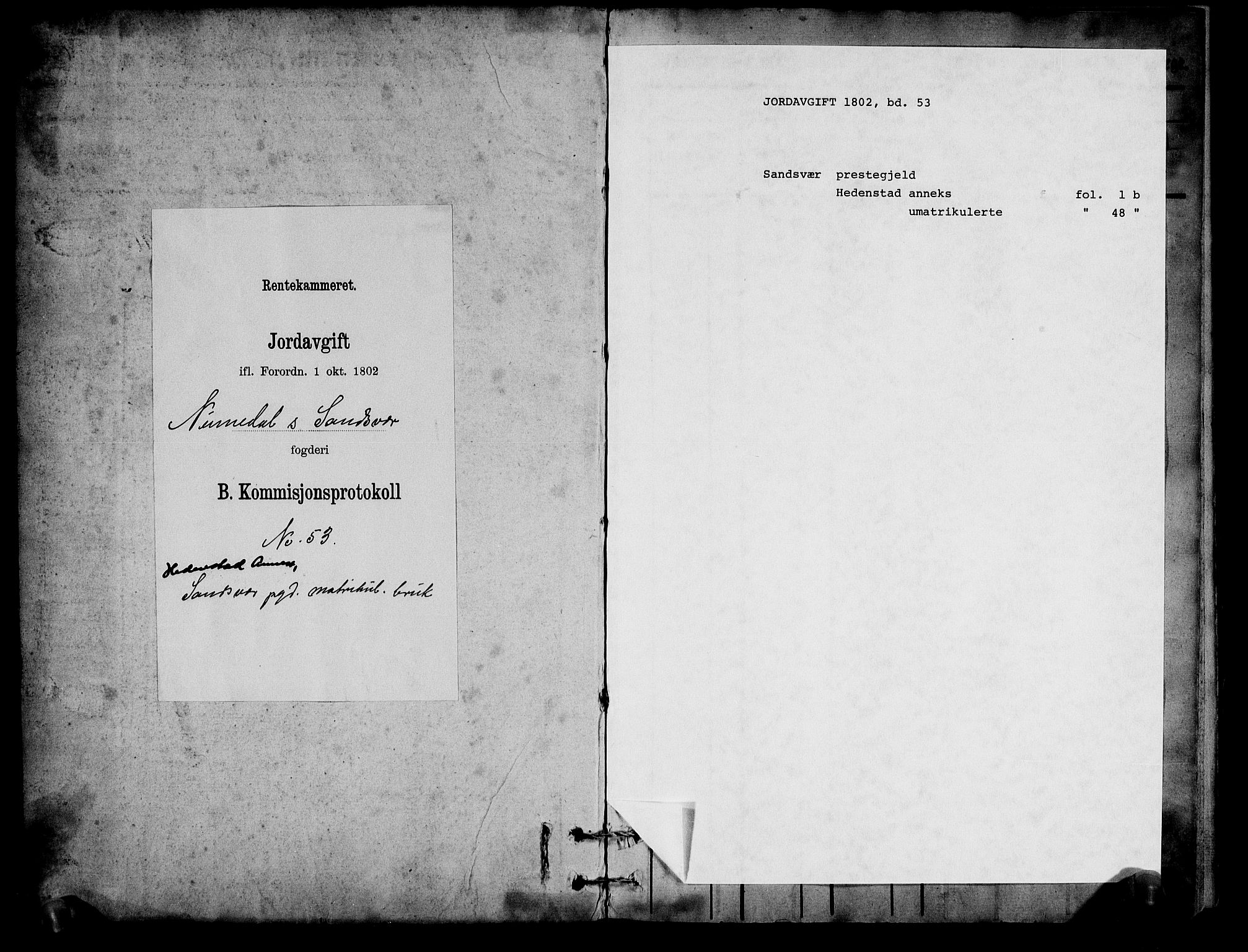 Rentekammeret inntil 1814, Realistisk ordnet avdeling, RA/EA-4070/N/Ne/Nea/L0053: Numedal og Sandsvær fogderi. Kommisjonsprotokoll over matrikulerte jordbruk i Hedenstad anneks, 1803, p. 1