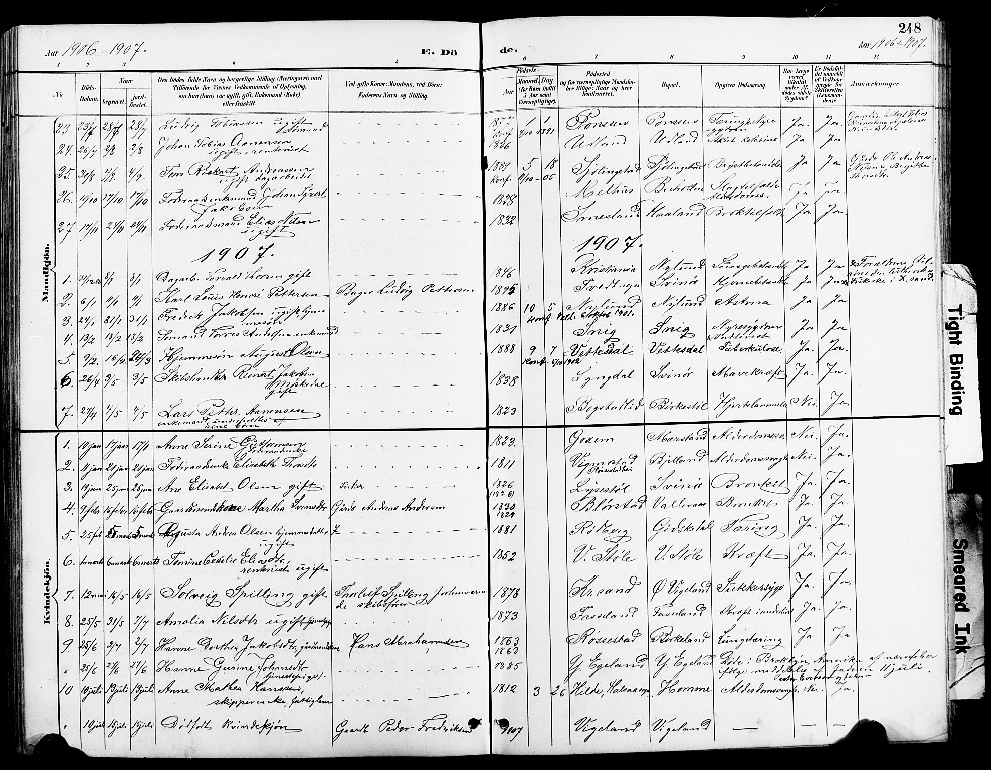 Sør-Audnedal sokneprestkontor, AV/SAK-1111-0039/F/Fb/Fbb/L0006: Parish register (copy) no. B 6, 1893-1915, p. 248