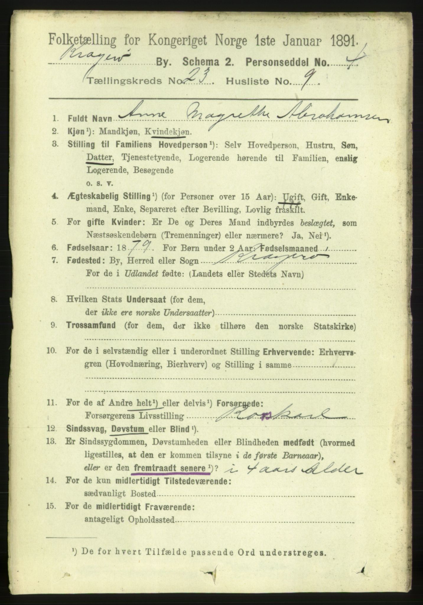 RA, 1891 census for 0801 Kragerø, 1891, p. 4990