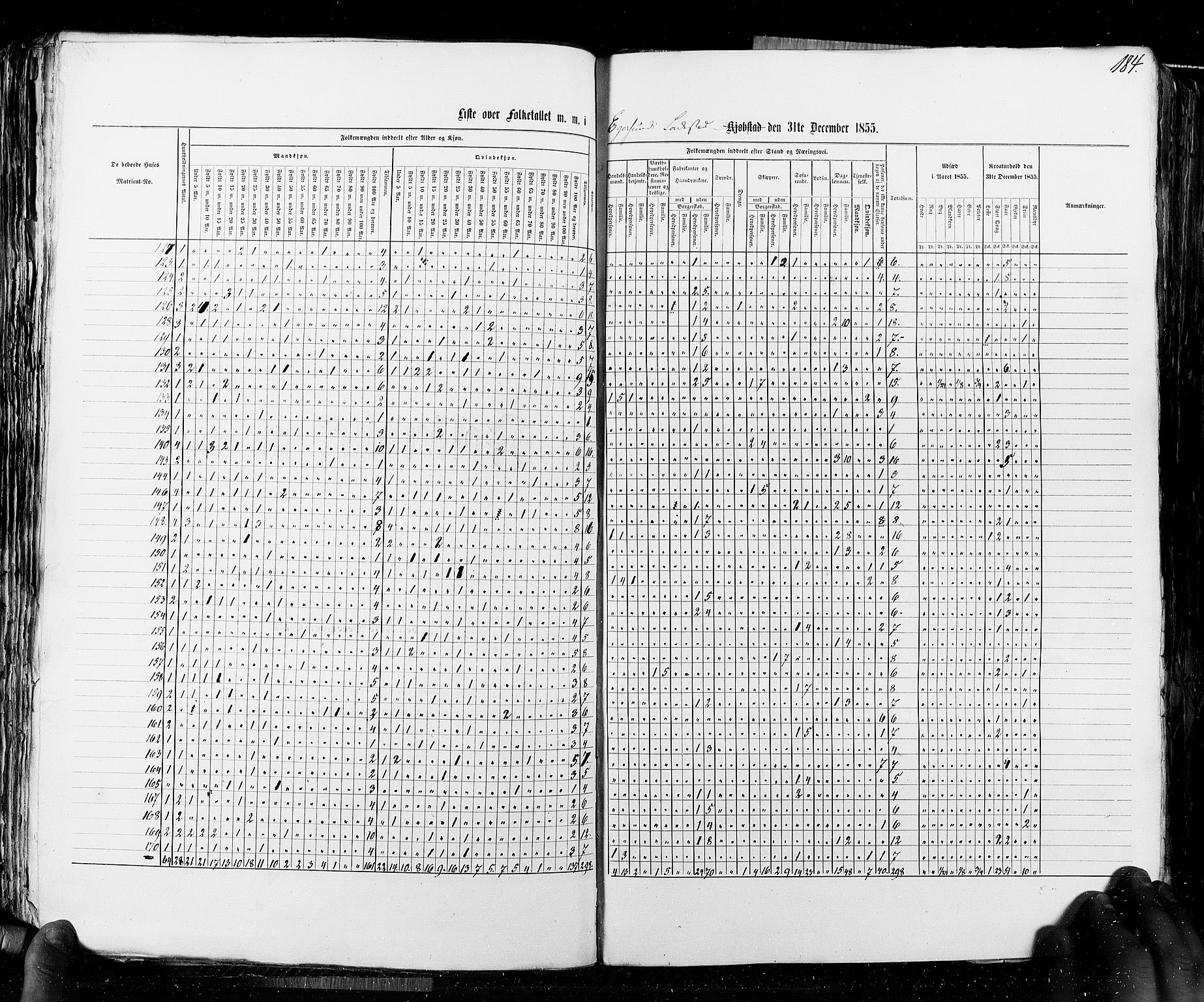 RA, Census 1855, vol. 8: Risør-Vadsø, 1855, p. 184