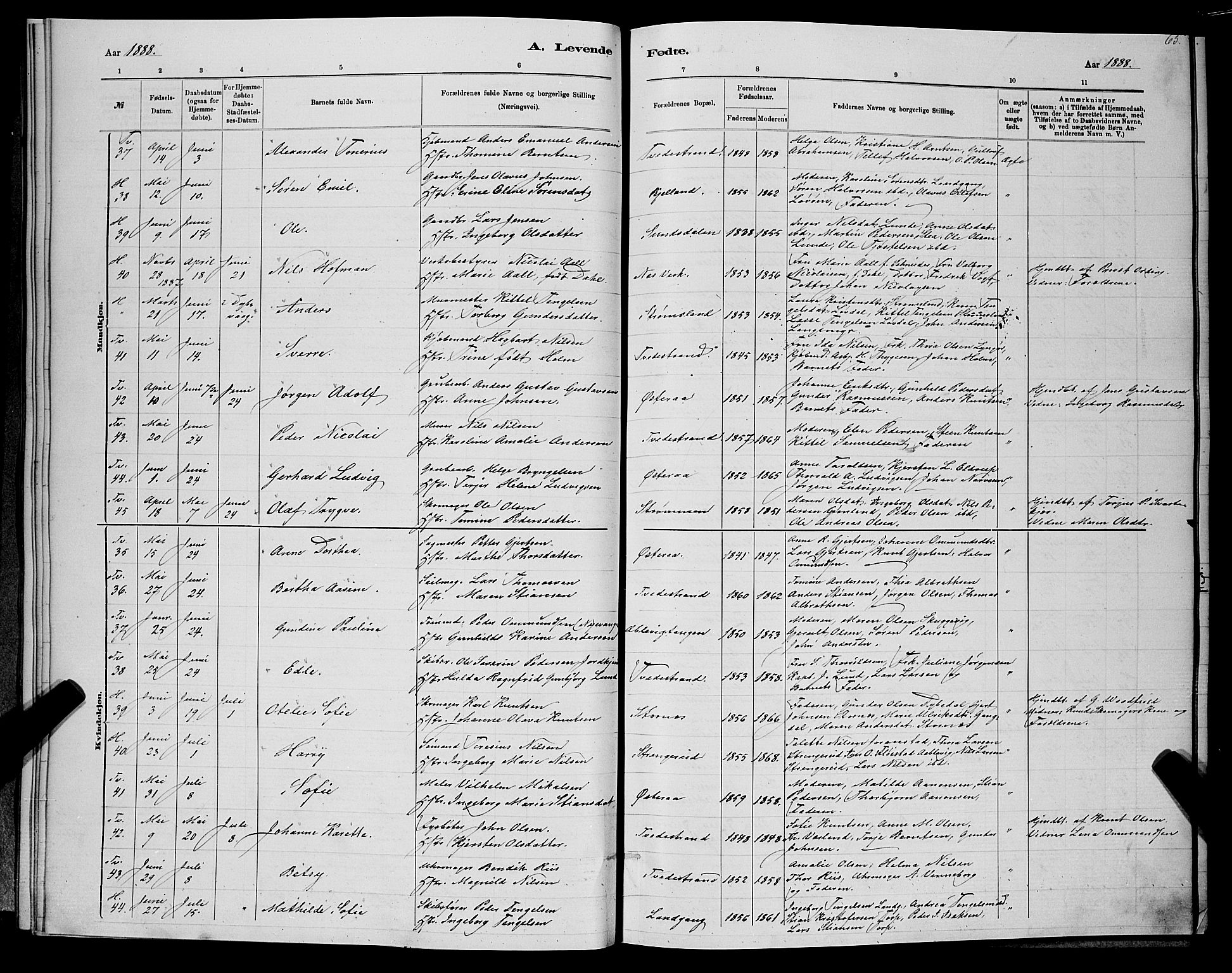 Holt sokneprestkontor, SAK/1111-0021/F/Fb/L0010: Parish register (copy) no. B 10, 1883-1896, p. 65