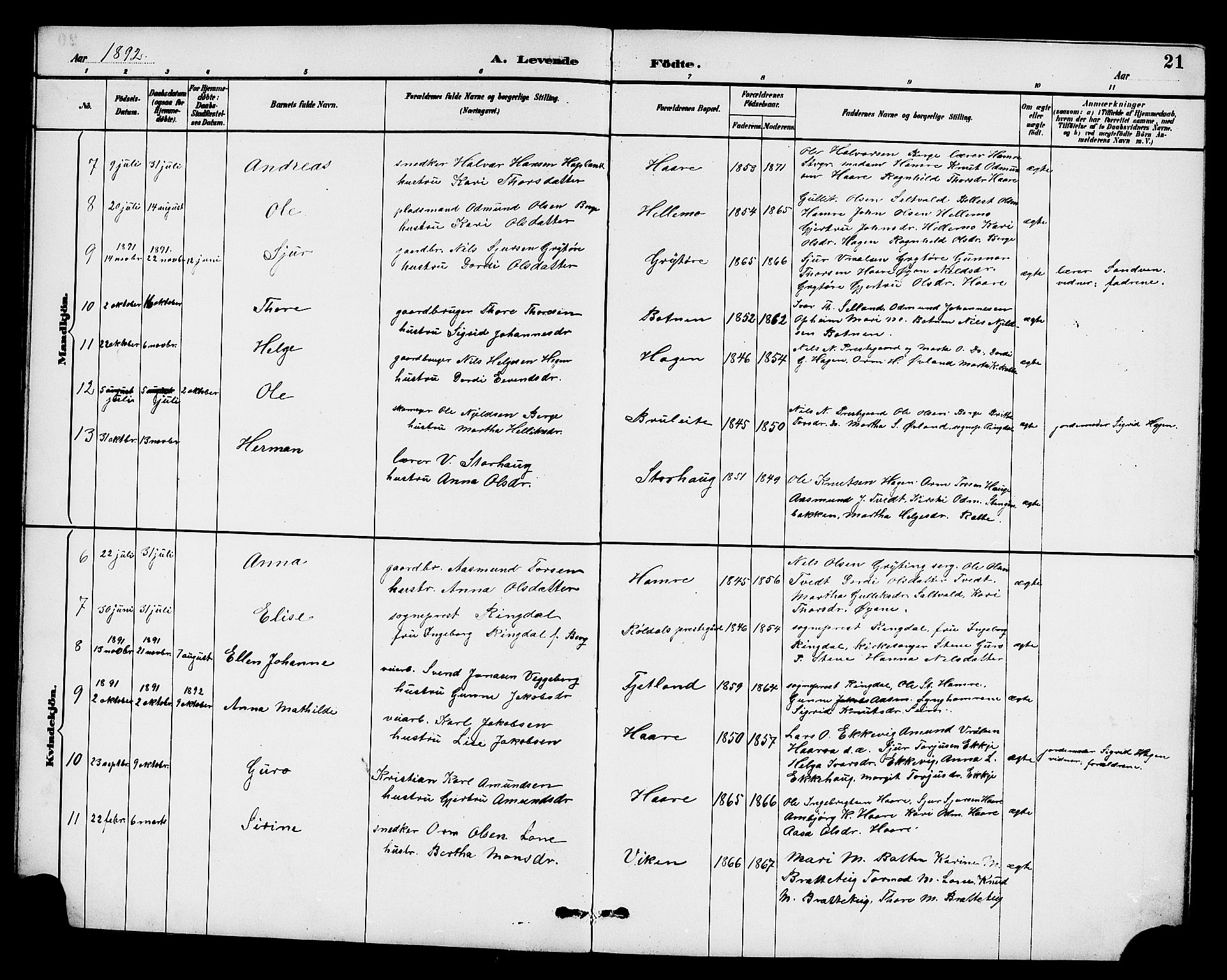 Røldal sokneprestembete, SAB/A-100247: Parish register (copy) no. A 3, 1887-1917, p. 21