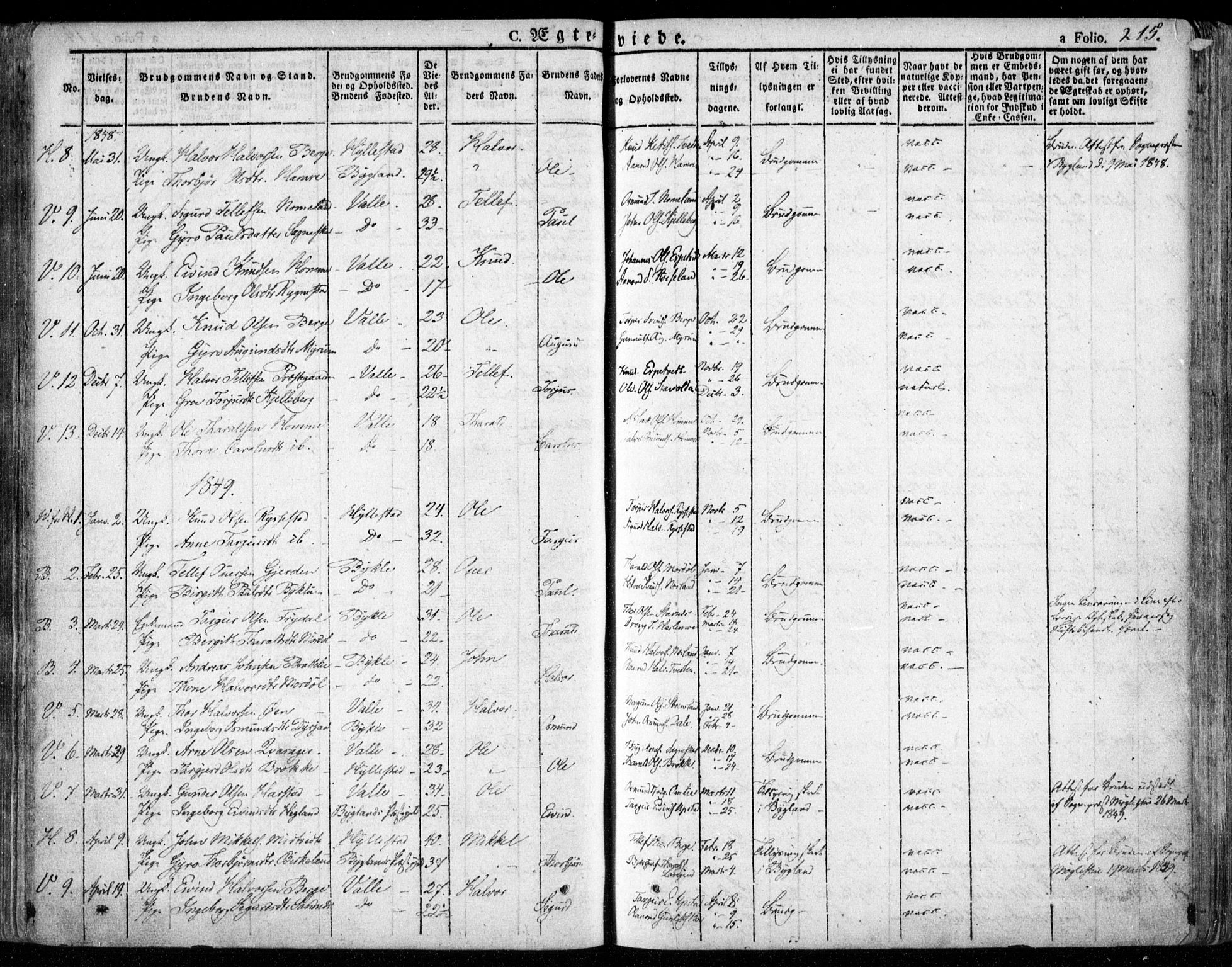 Valle sokneprestkontor, SAK/1111-0044/F/Fa/Fac/L0006: Parish register (official) no. A 6, 1831-1853, p. 215