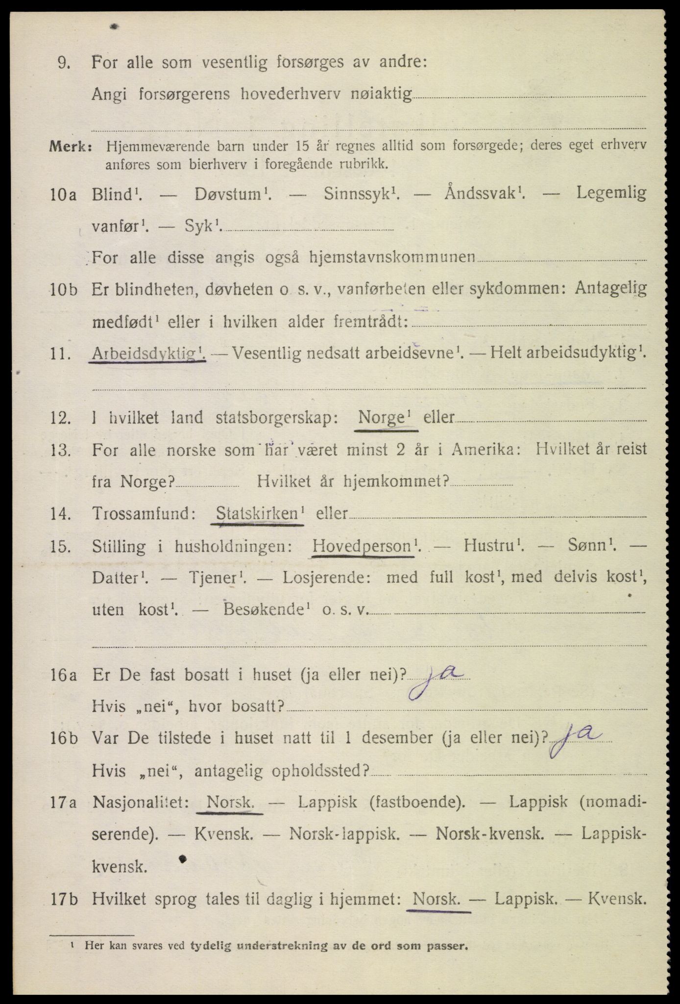 SAT, 1920 census for Bø, 1920, p. 2333