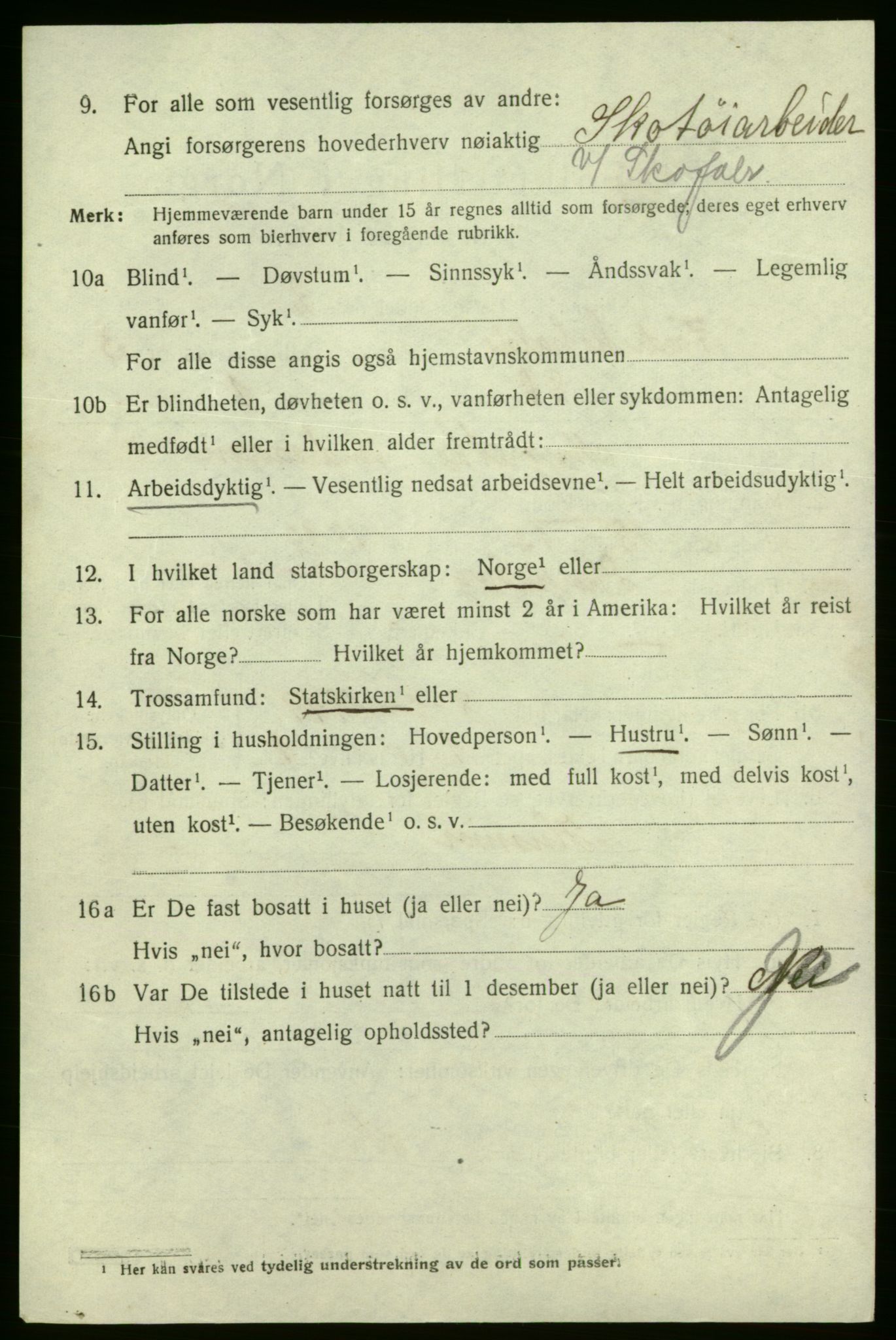 SAO, 1920 census for Fredrikshald, 1920, p. 10911