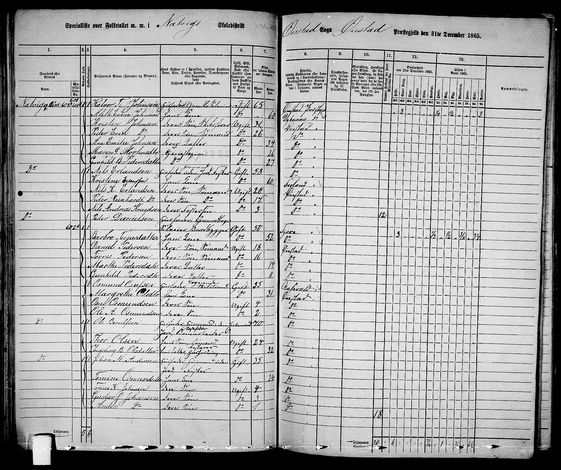 RA, 1865 census for Øyestad, 1865, p. 80