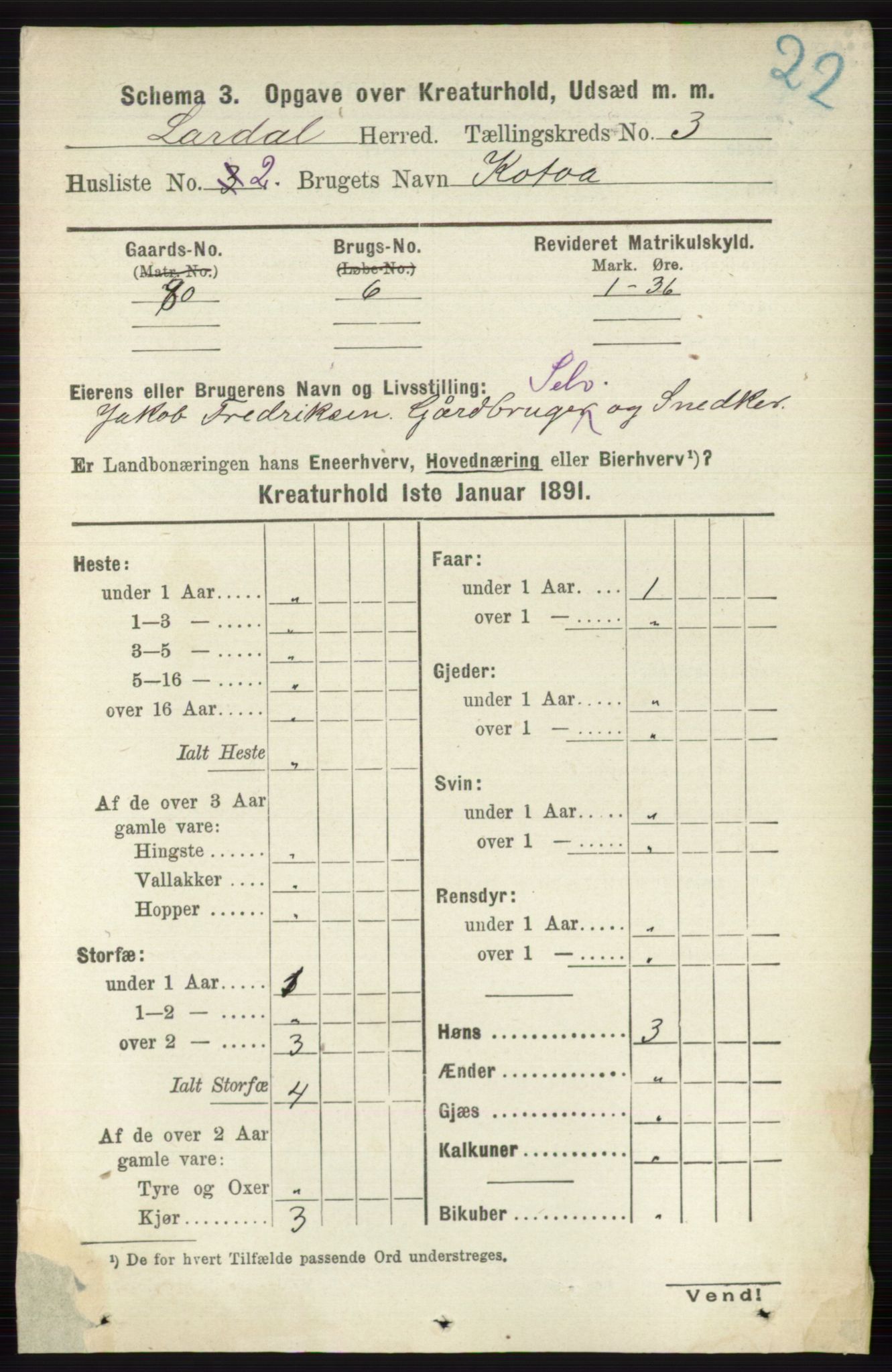 RA, 1891 census for 0728 Lardal, 1891, p. 3609