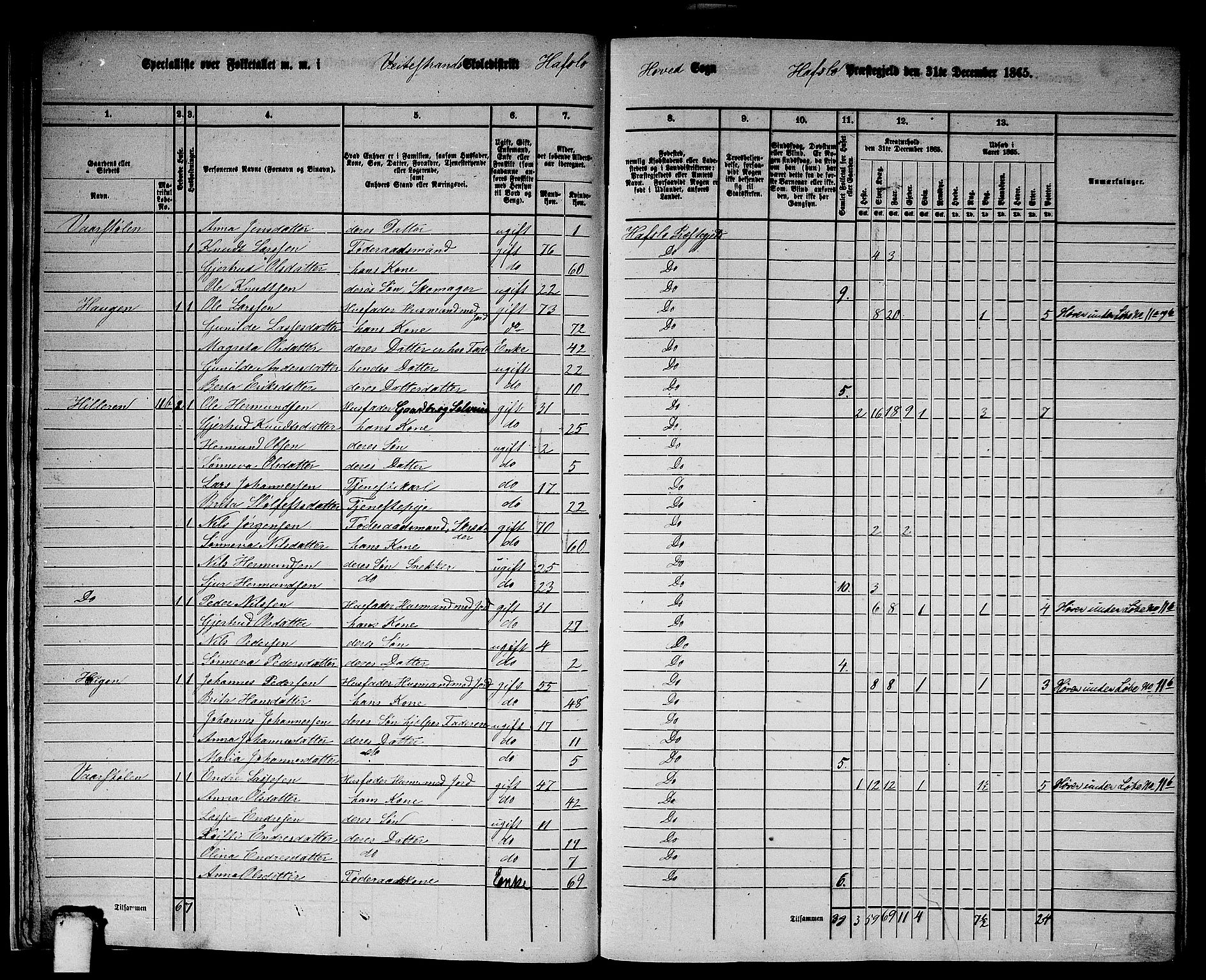 RA, 1865 census for Hafslo, 1865, p. 15