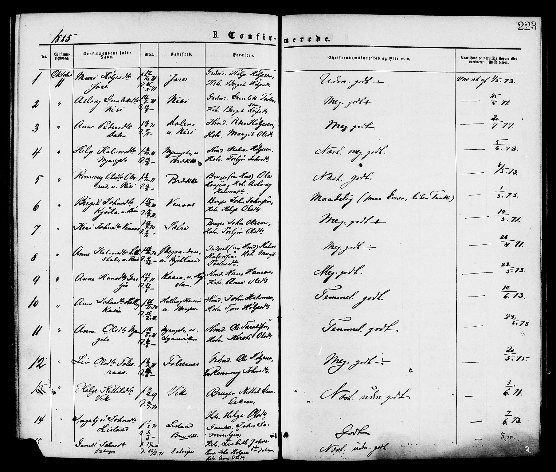 Gransherad kirkebøker, AV/SAKO-A-267/F/Fa/L0004: Parish register (official) no. I 4, 1871-1886, p. 223