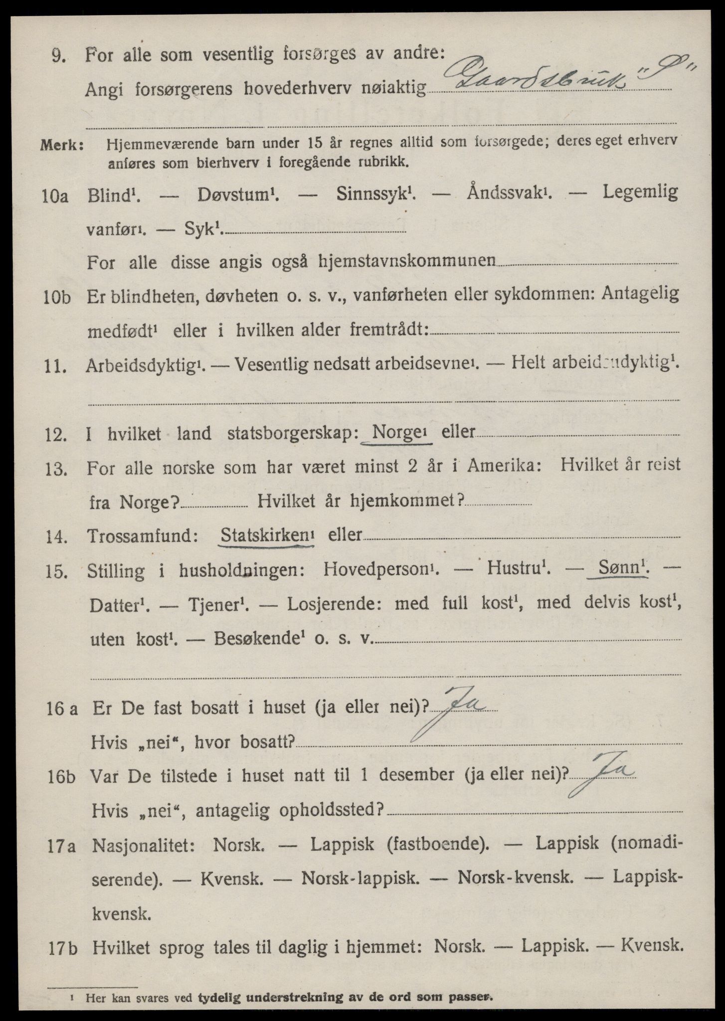 SAT, 1920 census for Hemne, 1920, p. 6899