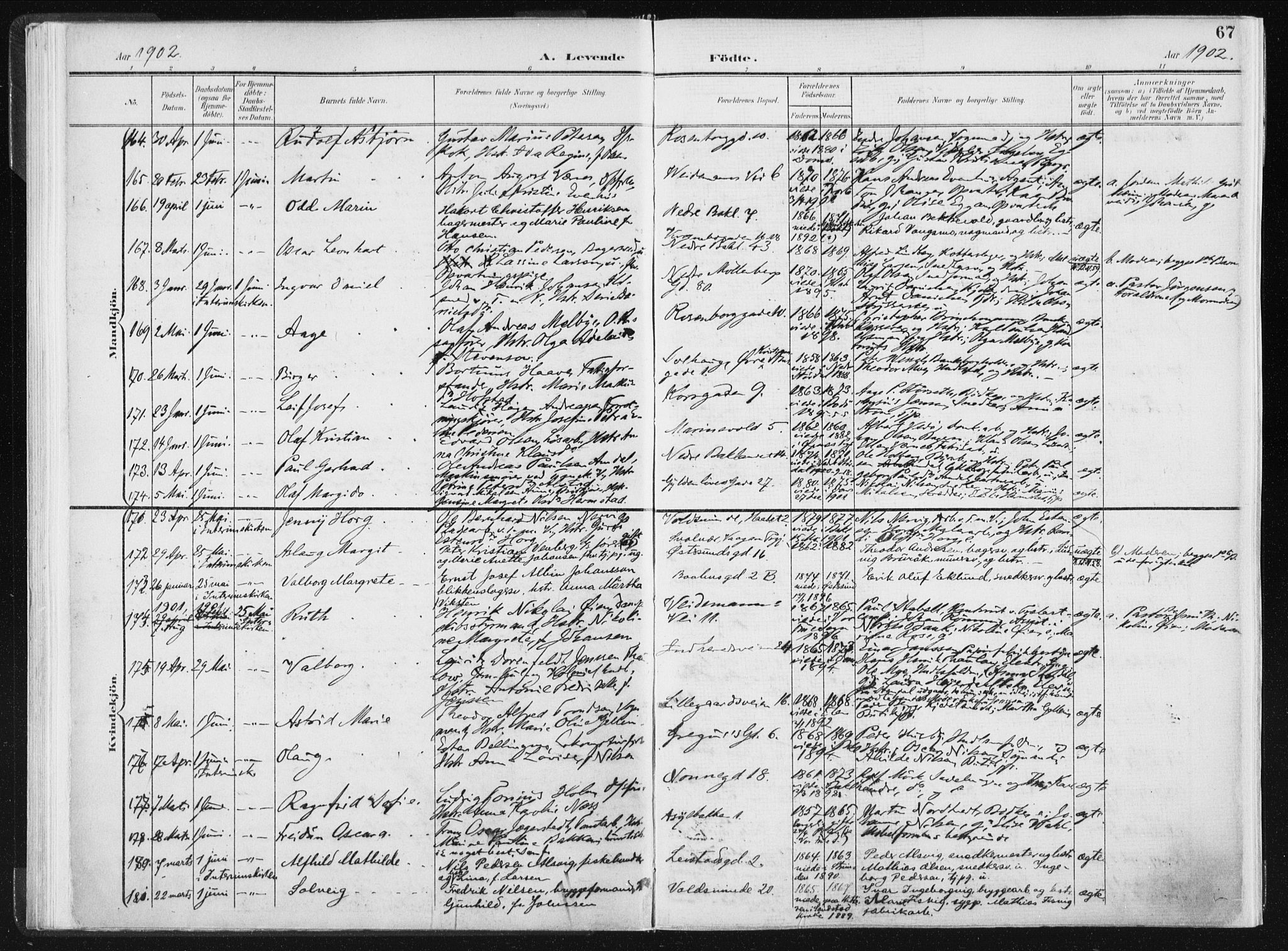 Ministerialprotokoller, klokkerbøker og fødselsregistre - Sør-Trøndelag, SAT/A-1456/604/L0199: Parish register (official) no. 604A20I, 1901-1906, p. 67